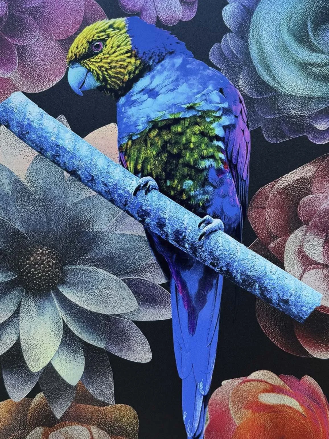 Blue-parrot-detail.jpg