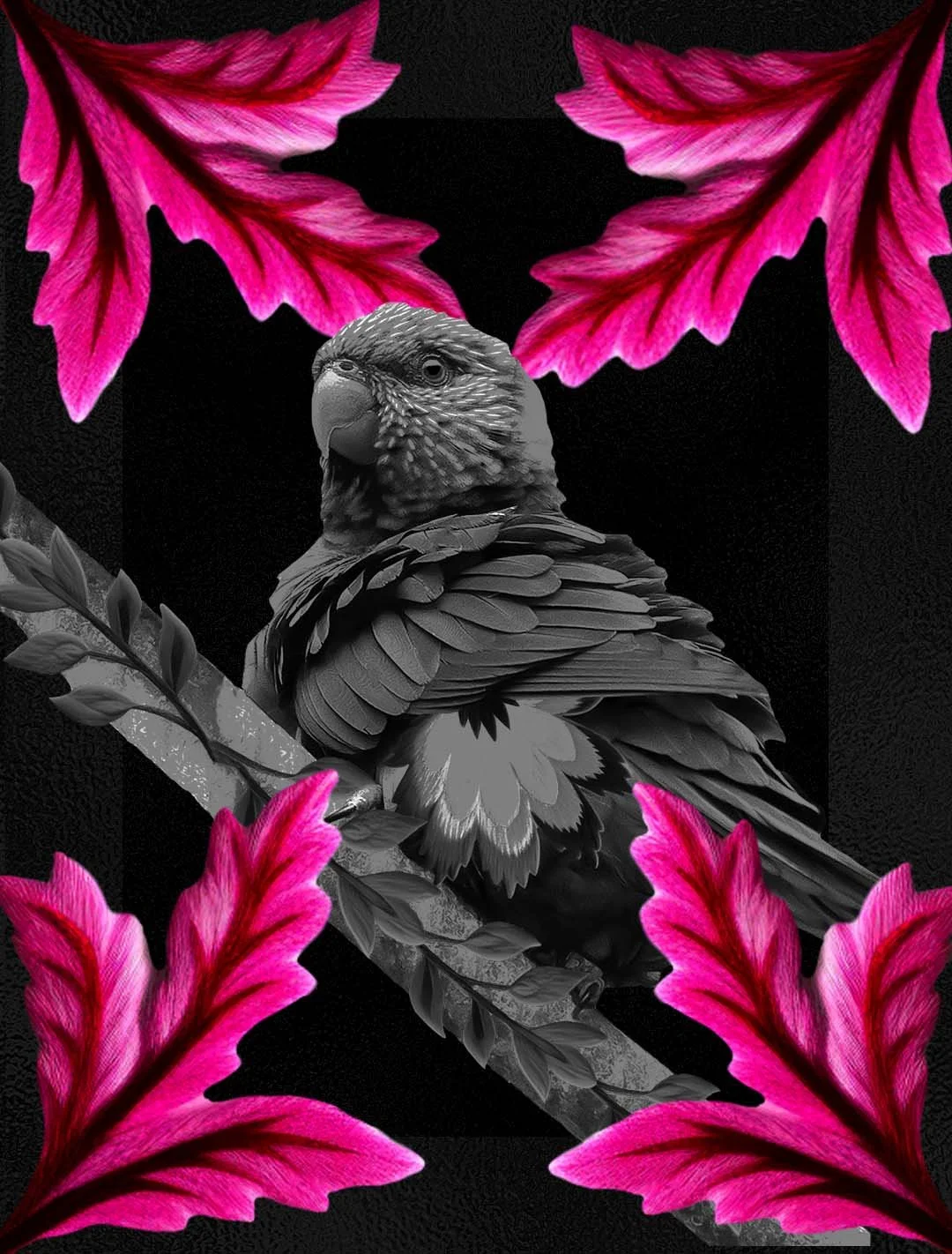Black and Pink Bird Giclée Art Print