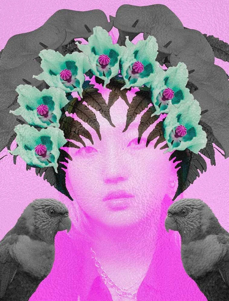 Dream-parrot-detail.jpg