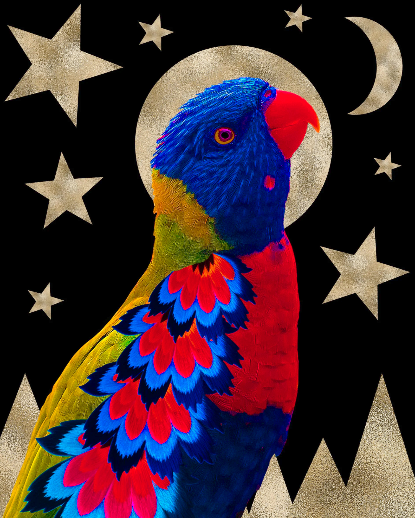 Star, Moon and Love Bird - Giclée Art Print