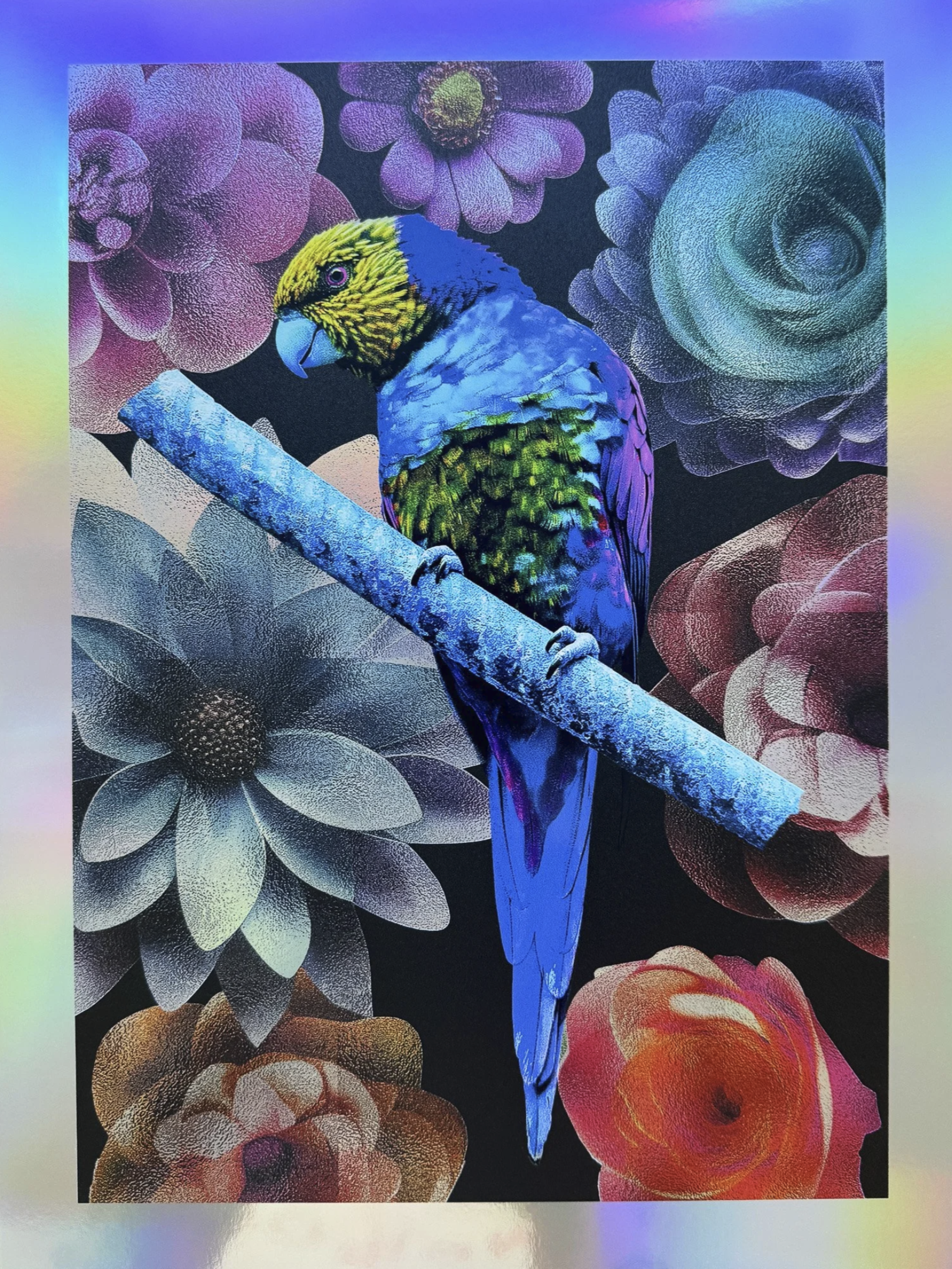 Blue Parrot Giclée Art Print