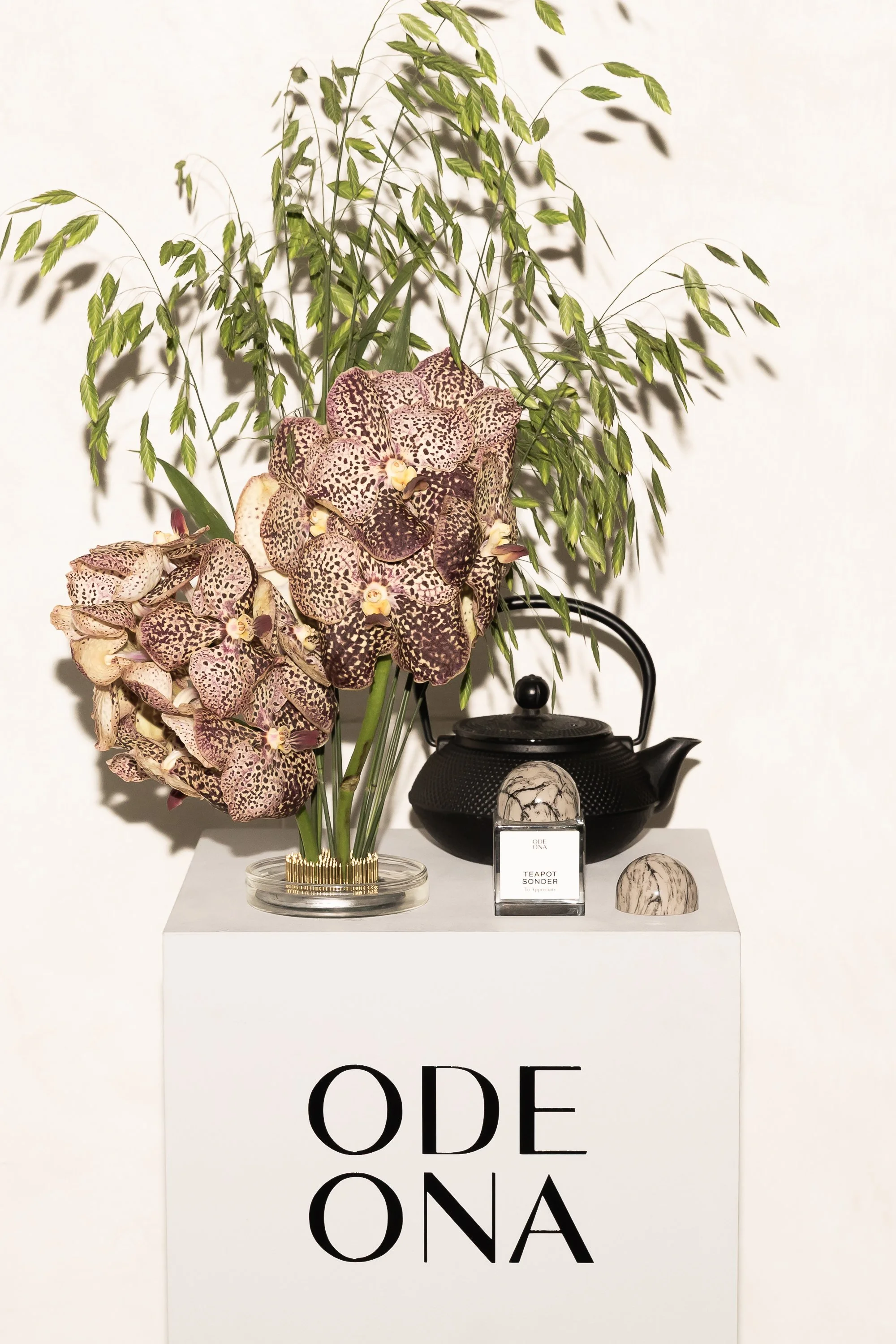 Ode Ona - Sept 2026 launch-59.jpg