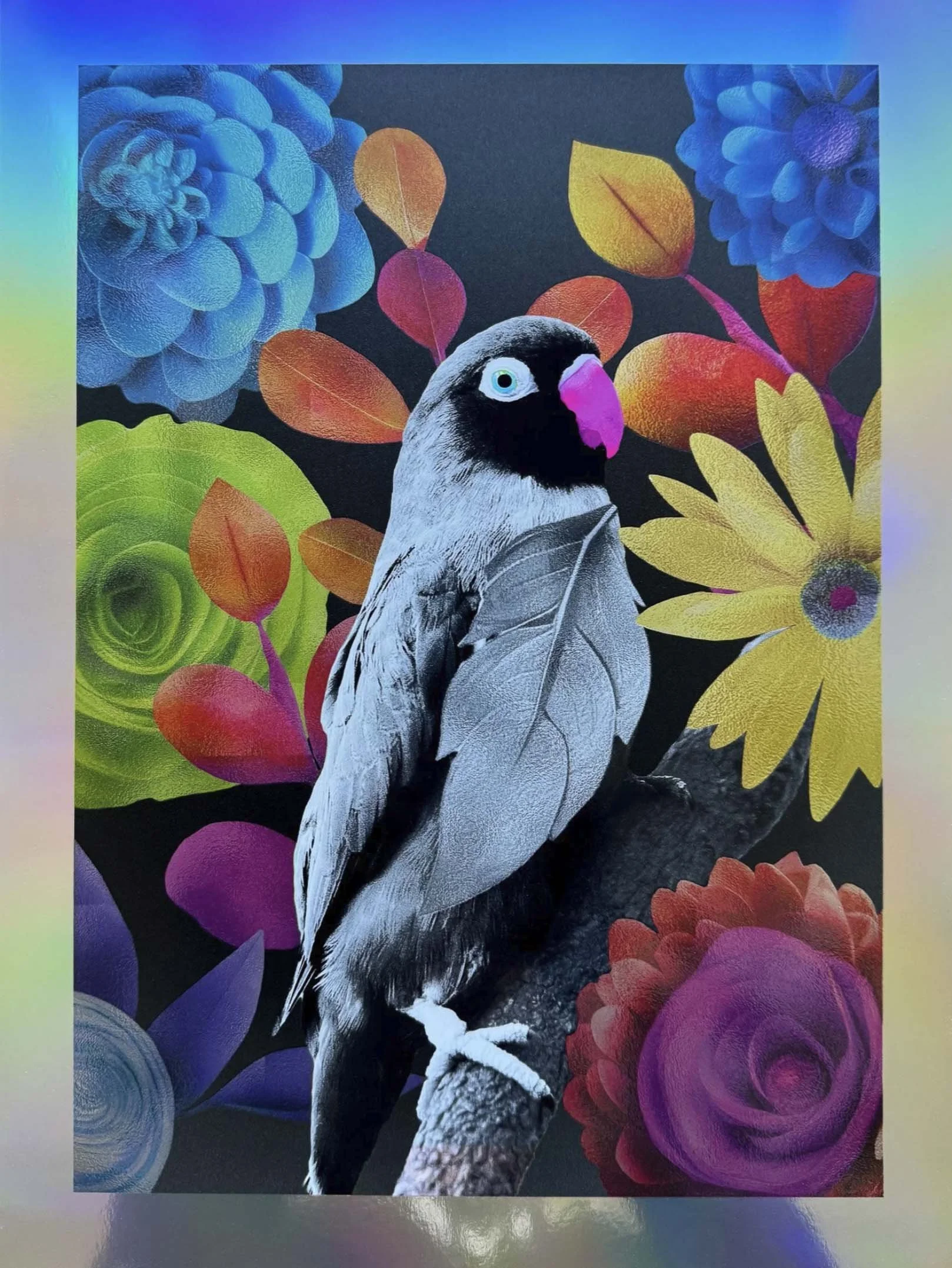 Little Parrot Giclée Art Print