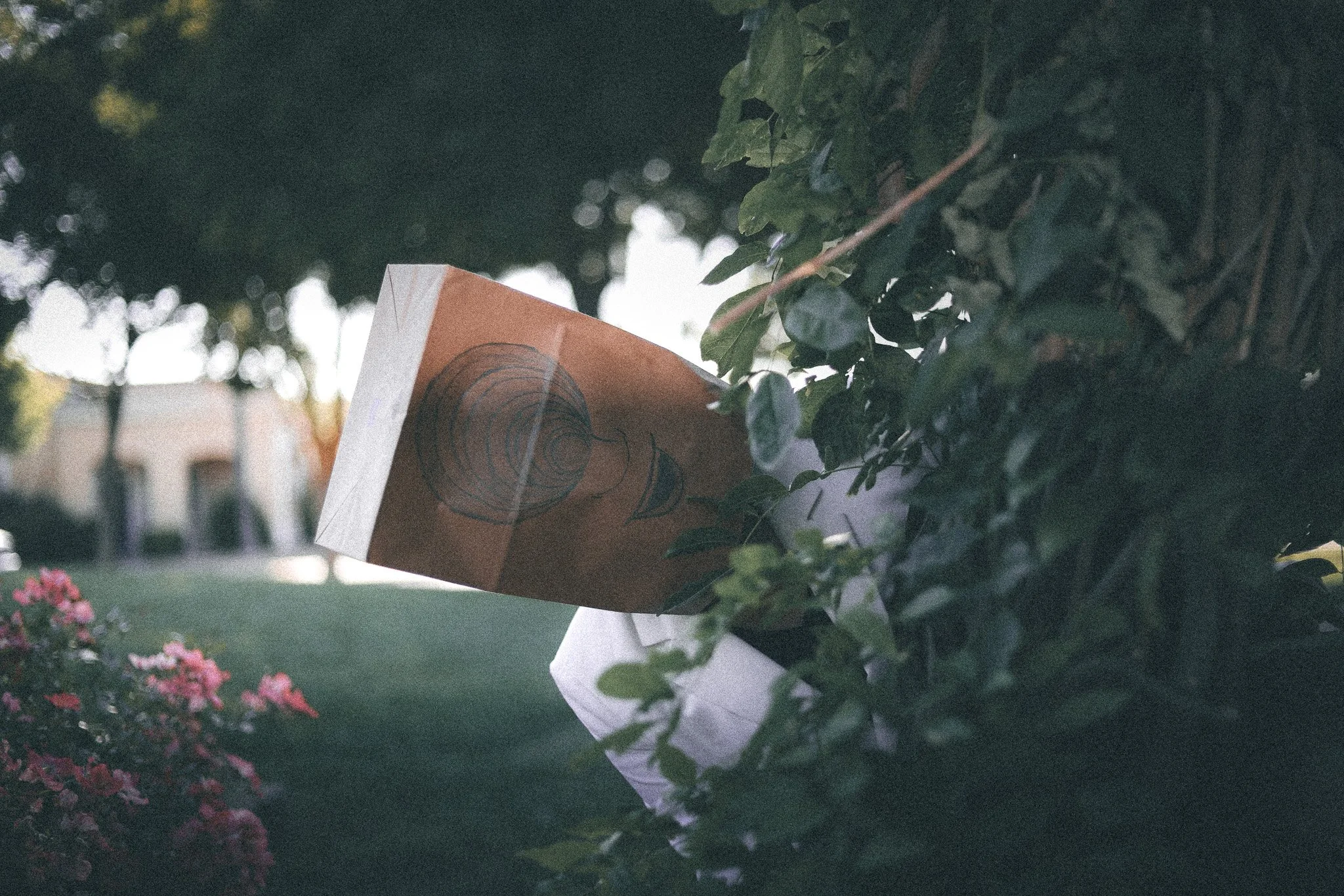 A paper bag placed in a bush with green leaves, with a residential street and pink flowers in the background.