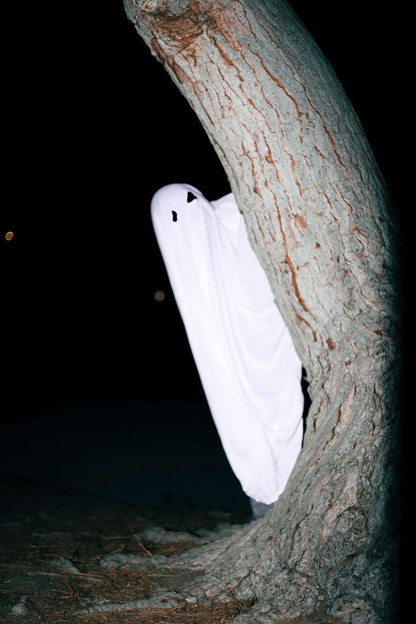 A large tree with gray bark at night, with a white sheet draped over its side, resembling a ghost.