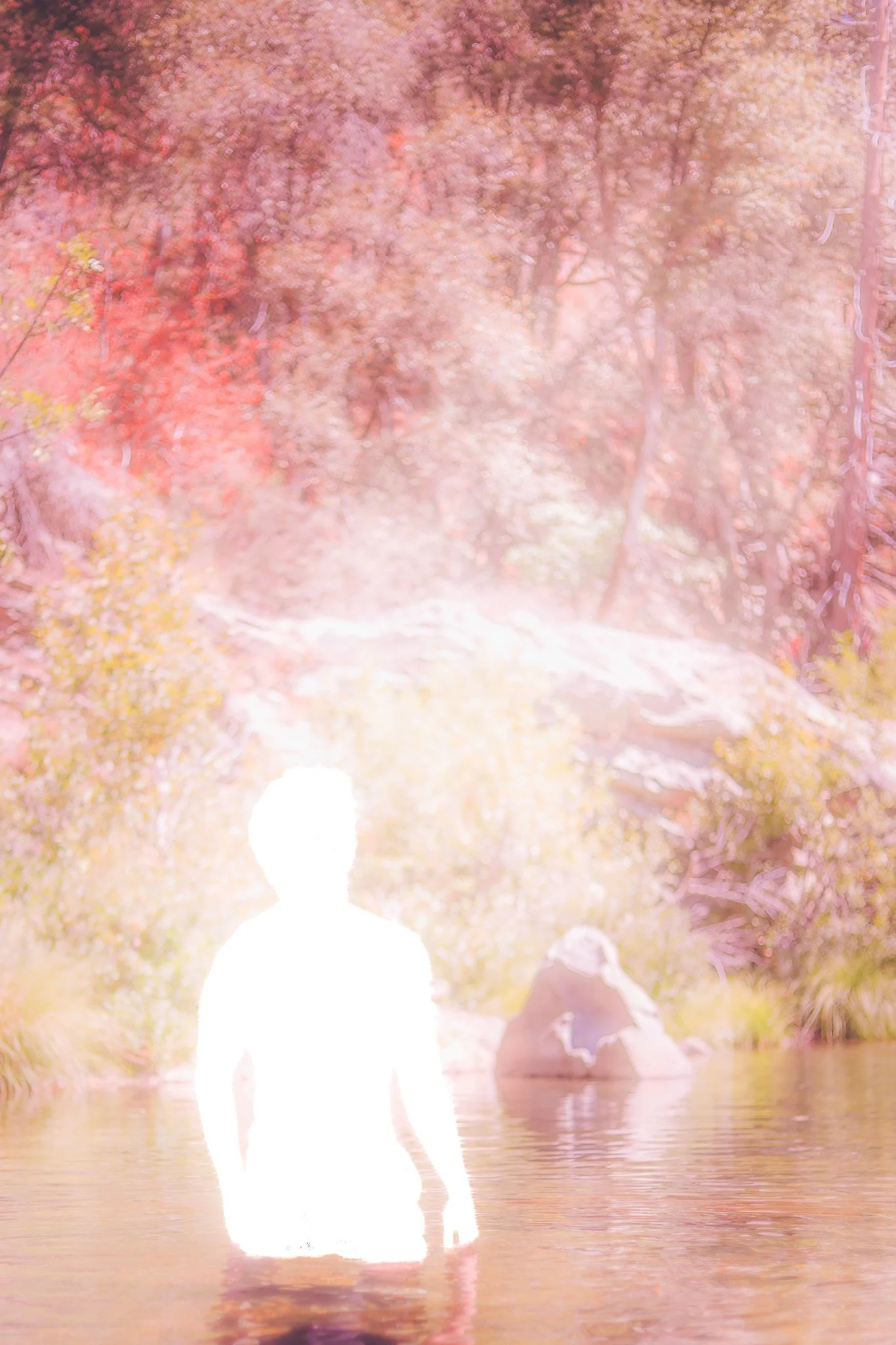 Overexposed photo of a person kneeling in a river with trees and foliage in the background.