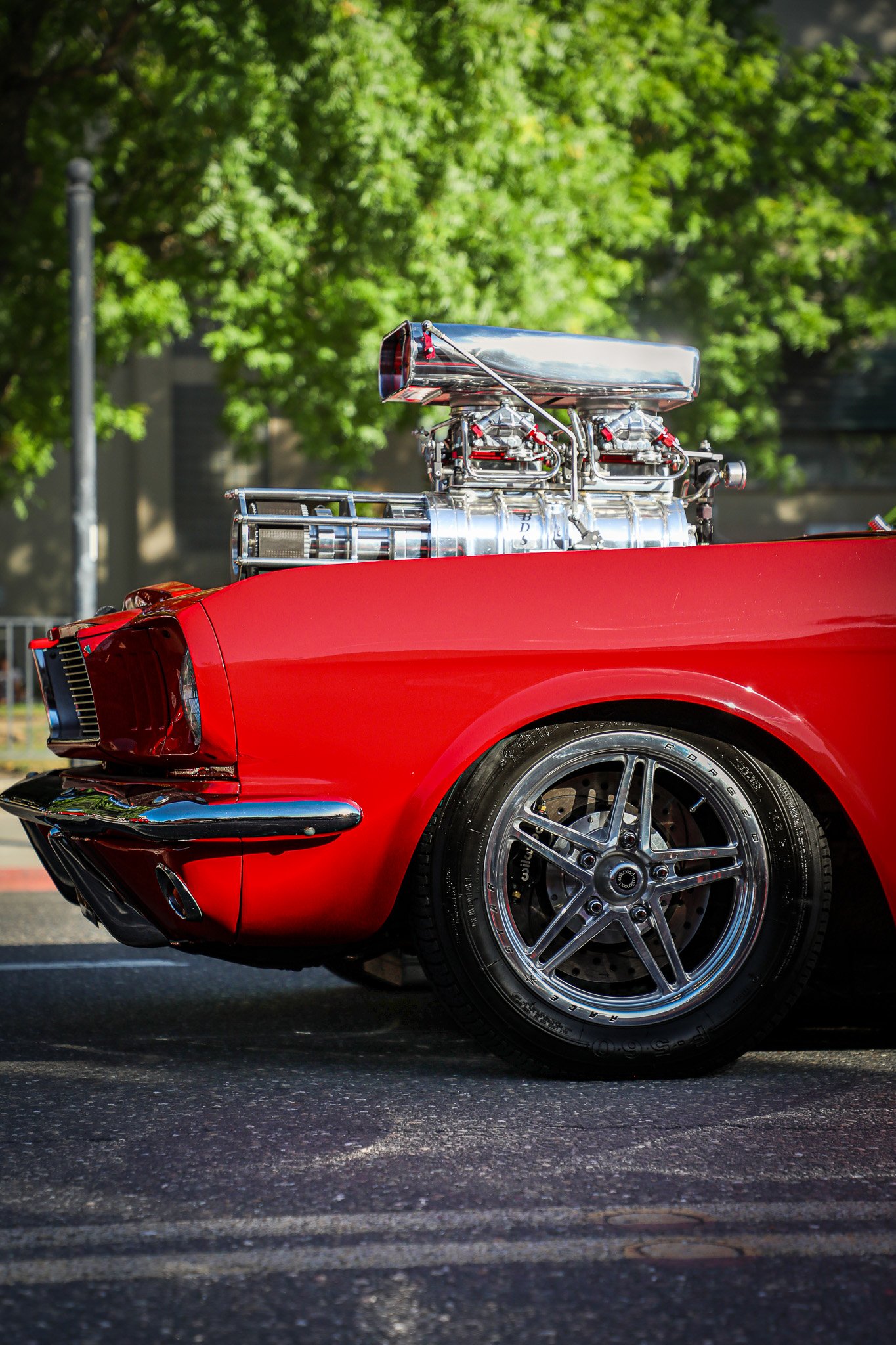 Cars_060724_JY_004.jpg