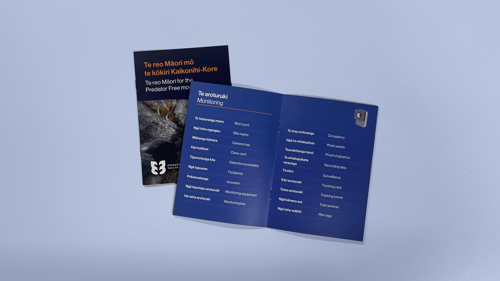 Predator Free 2050 te reo Māori interior