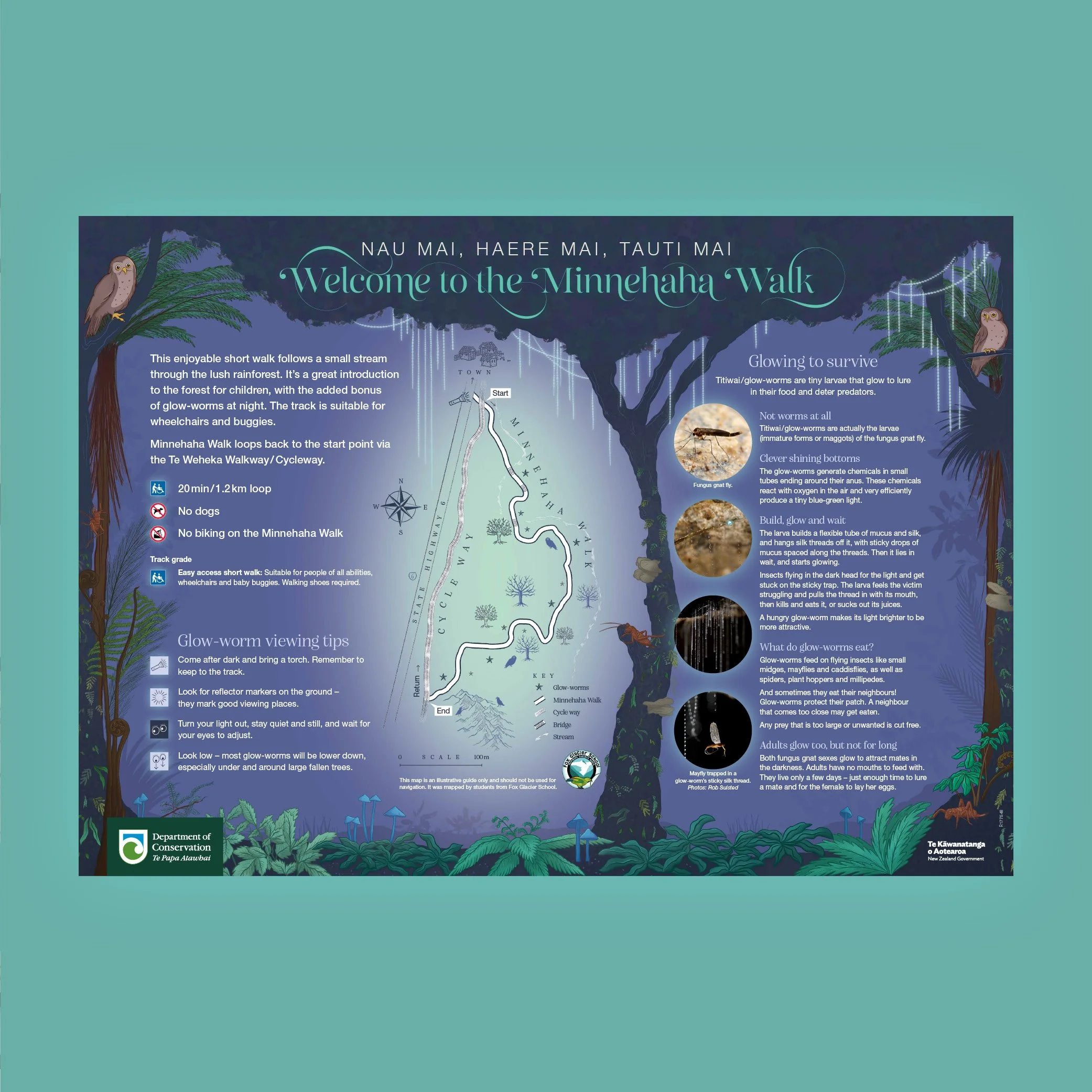 Glow-worm interpretation panel