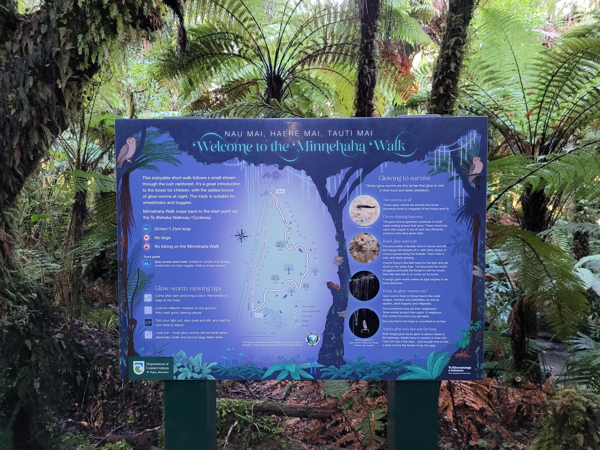 Glow-worm interpretation panels