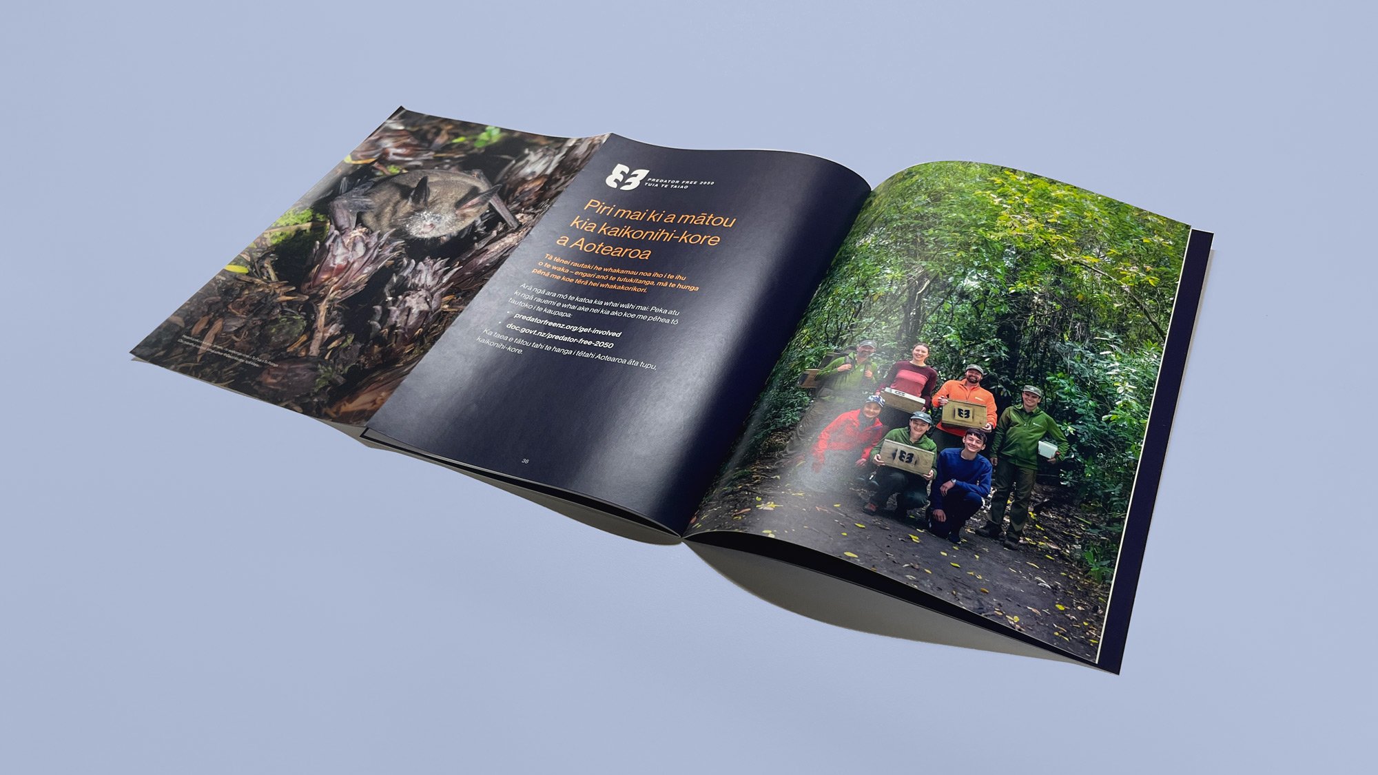 Predator Free 2050 Strategy fold out