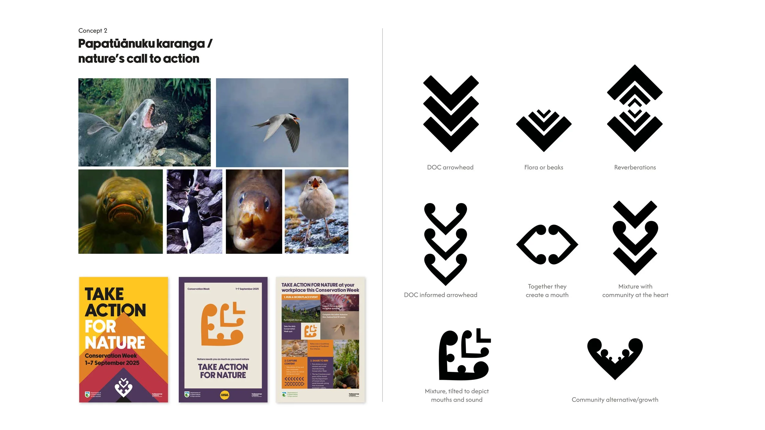 Conservation Week – concept 2