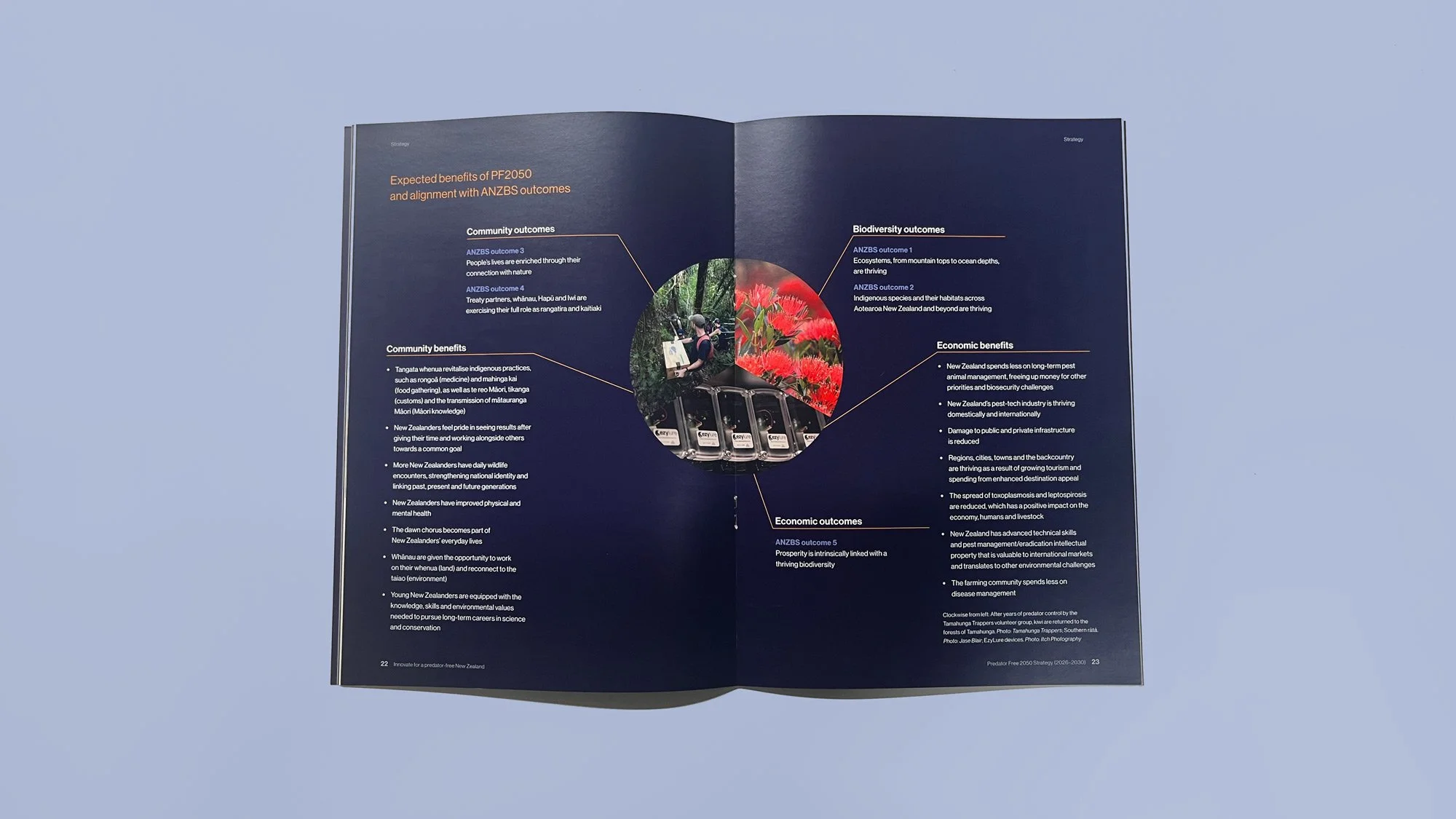 Predator Free 2050 Strategy interior spread
