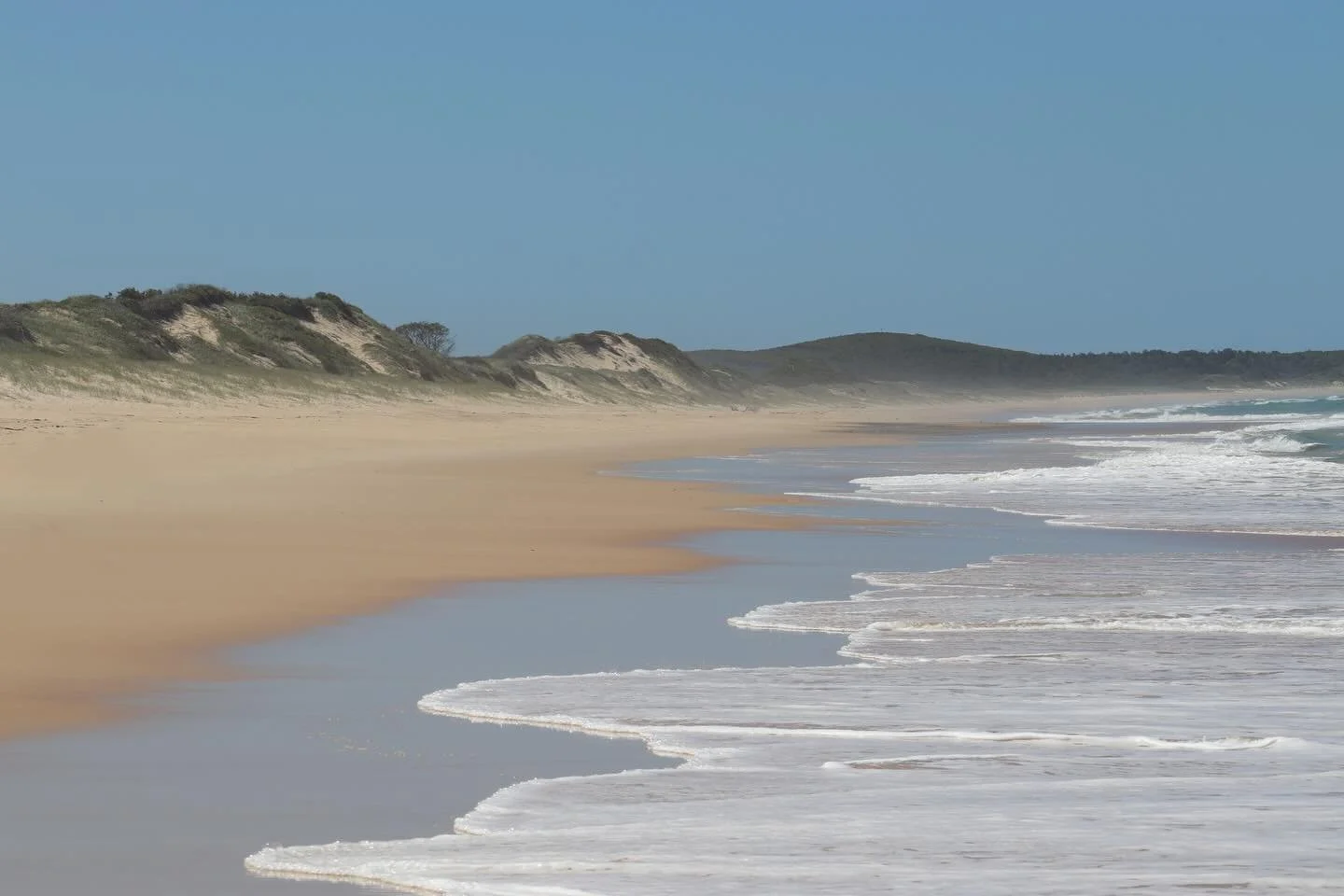 🦀🏝️
Wooli trip 📸