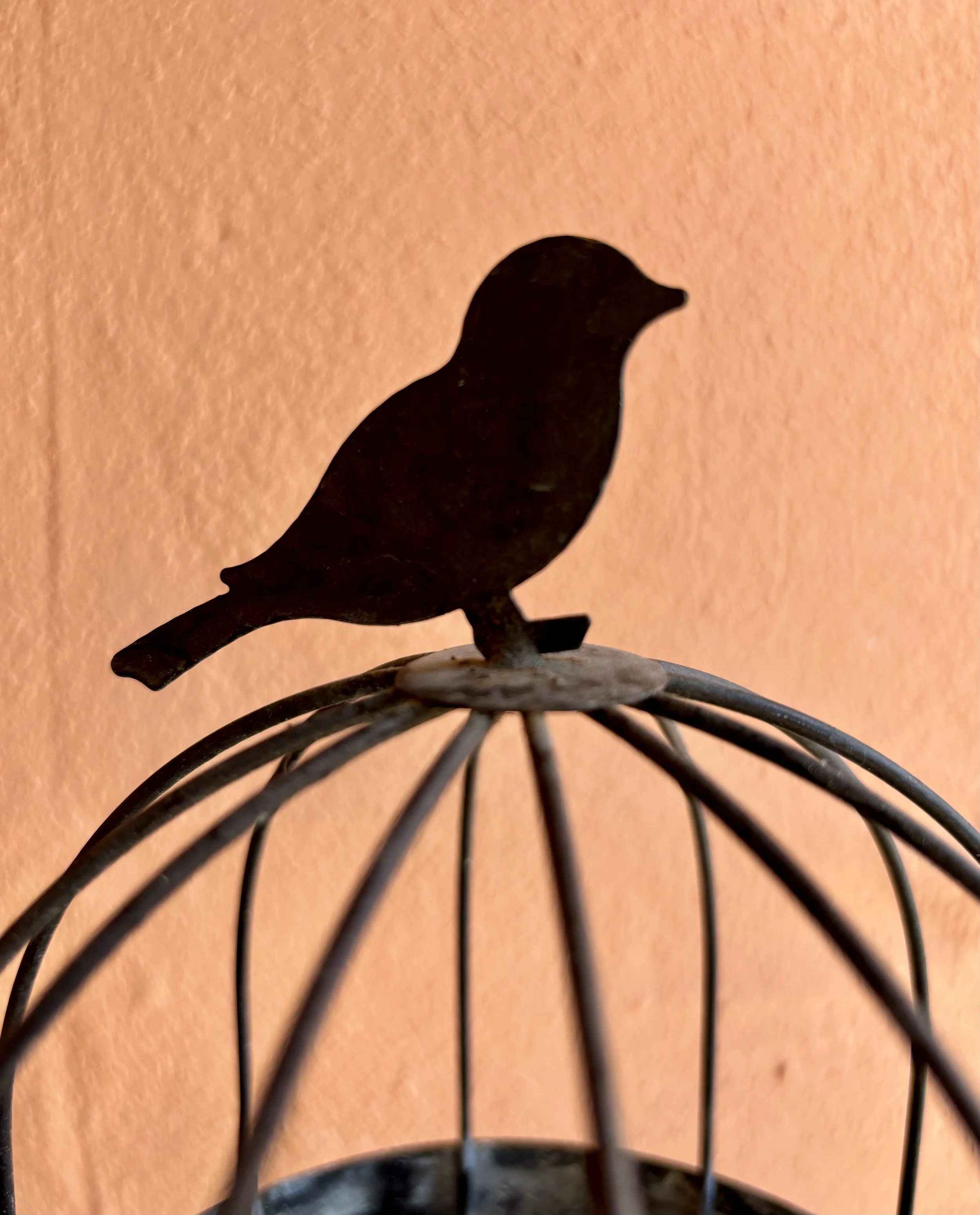 IMG_1305.jpeg
