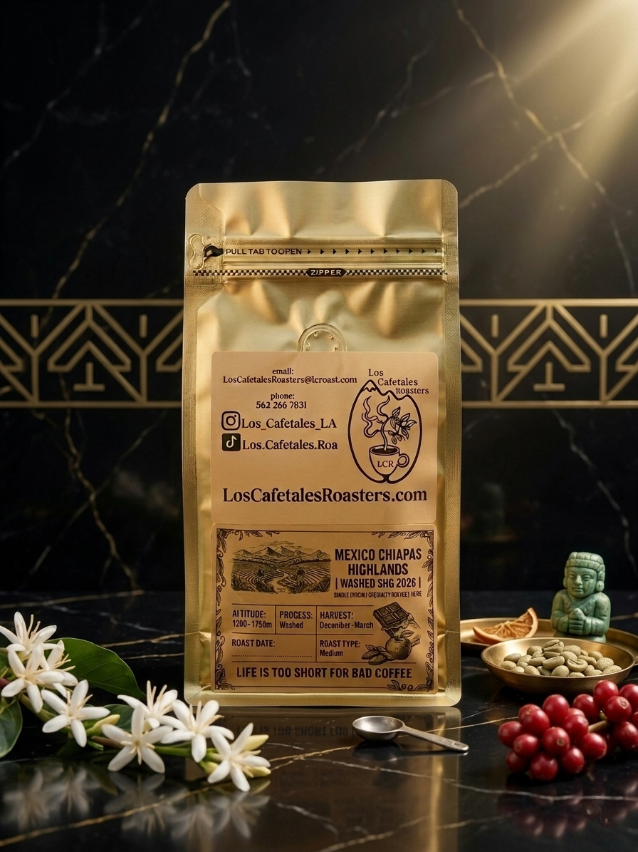 Mexico Chiapas Highlands Washed SHG