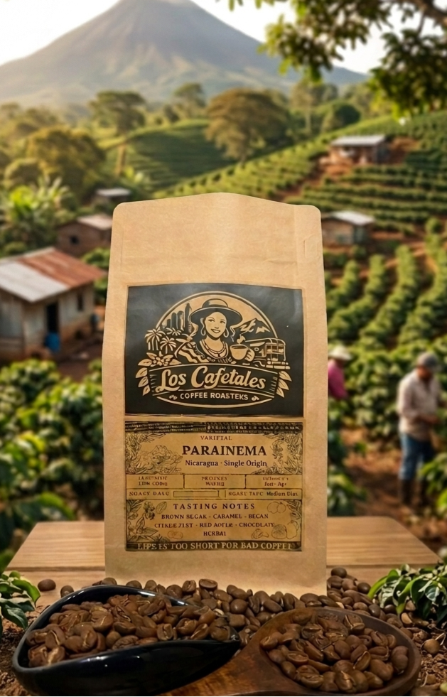 Parainema Coffee – Specialty Nicaraguan Single Origin Medium Roast