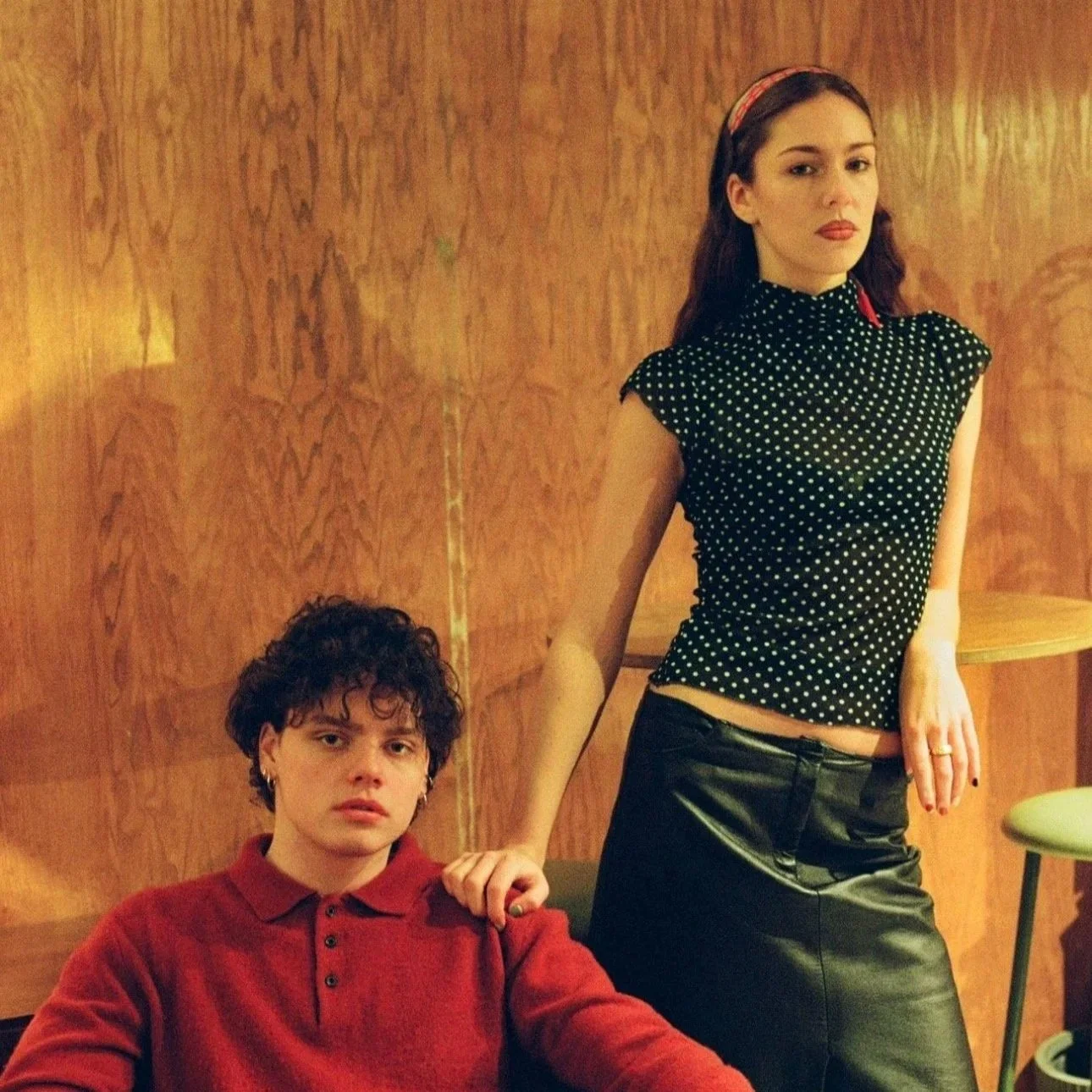 DINNER  WITH  THE  WOLVES