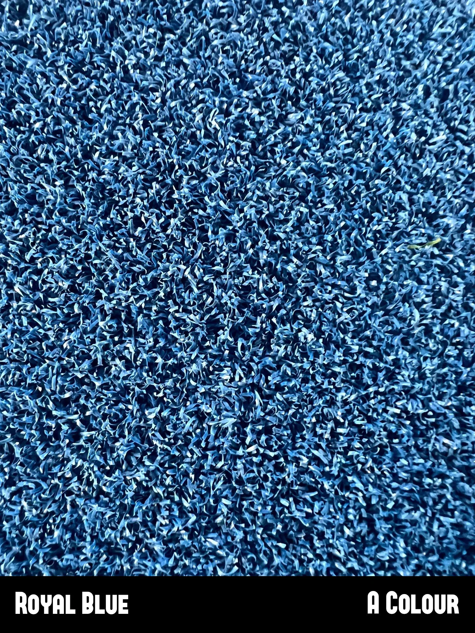 Royal_Blue.jpg