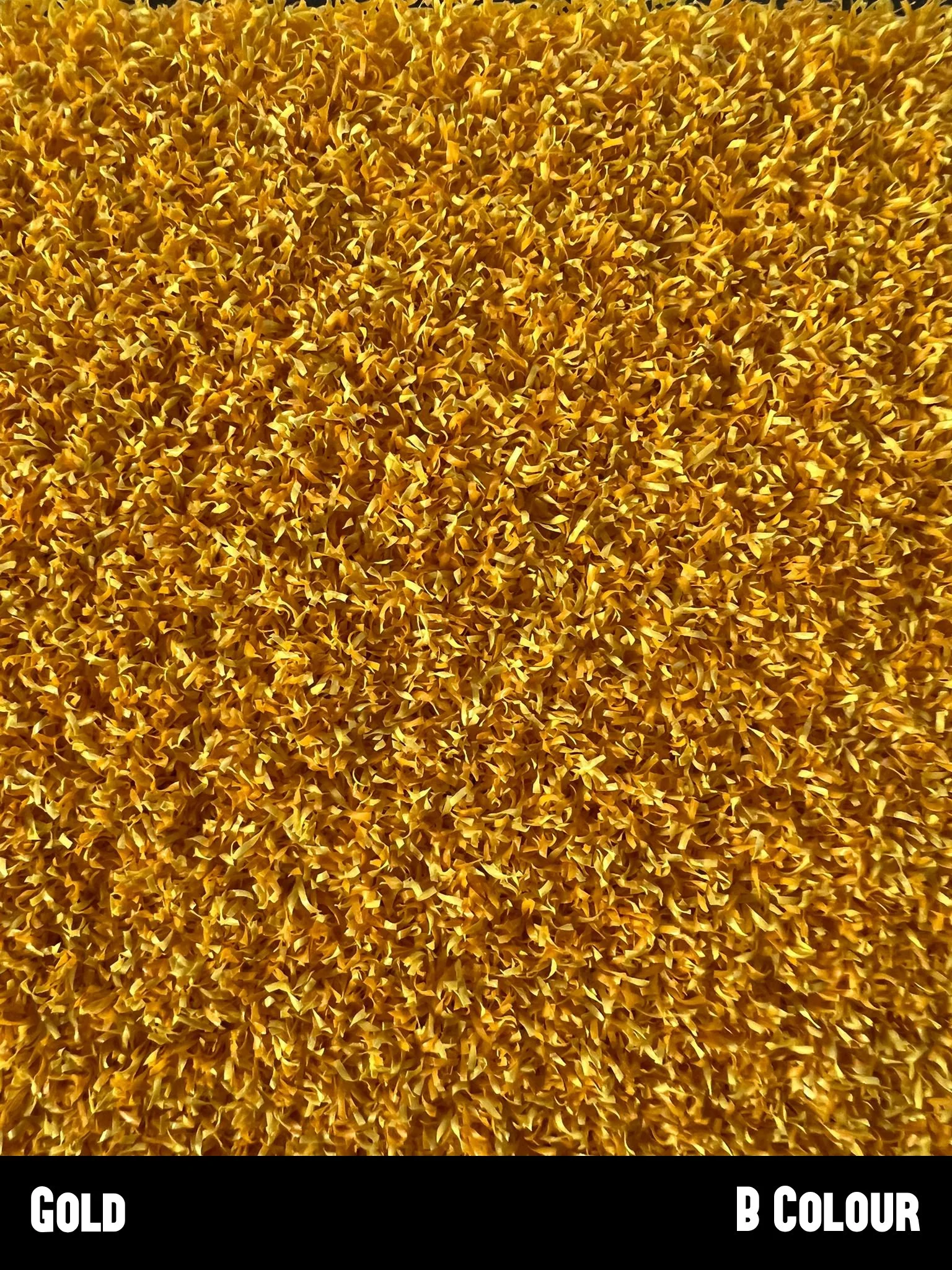 Gold.jpg