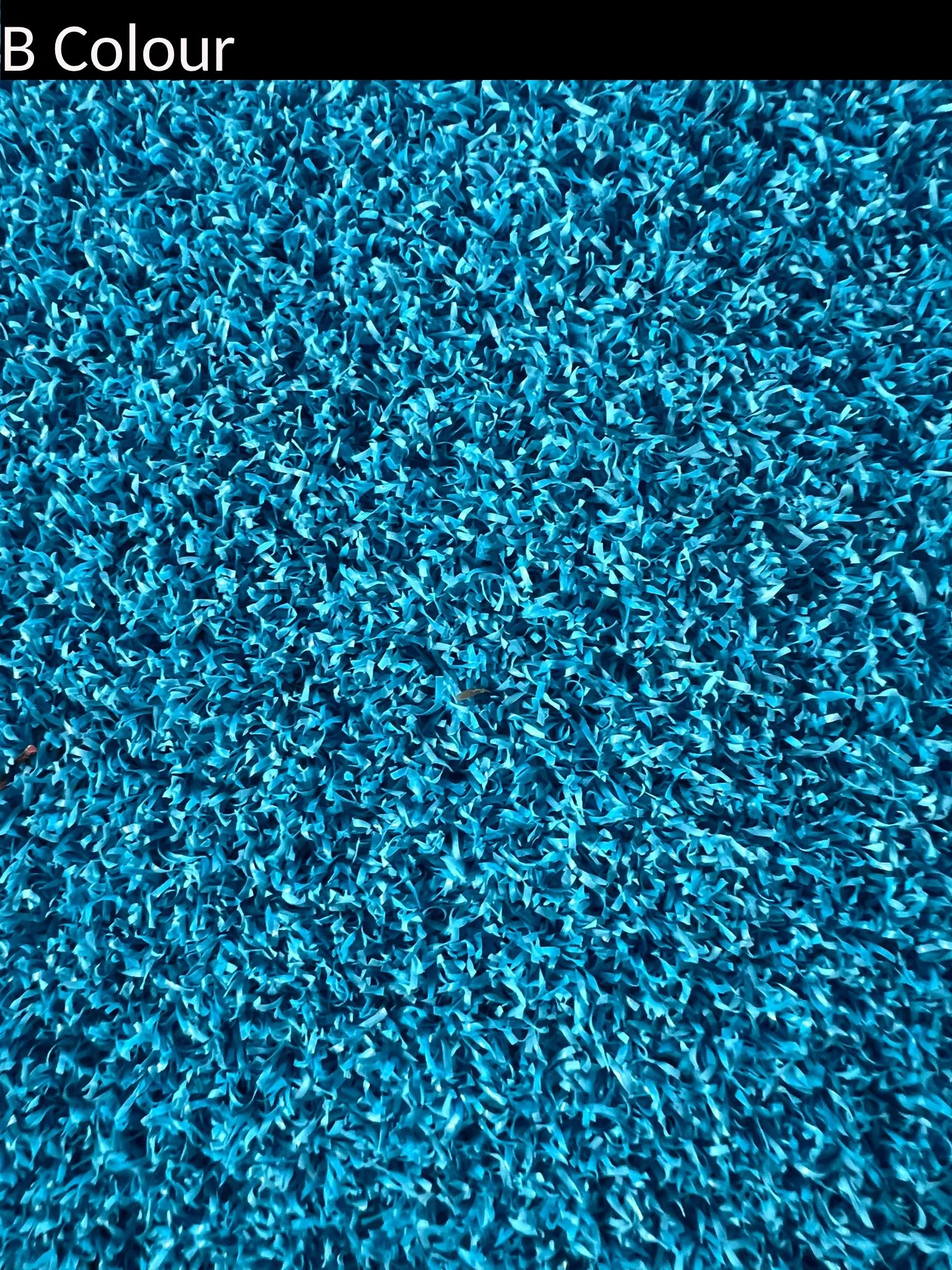 bcolour_teal2.jpg