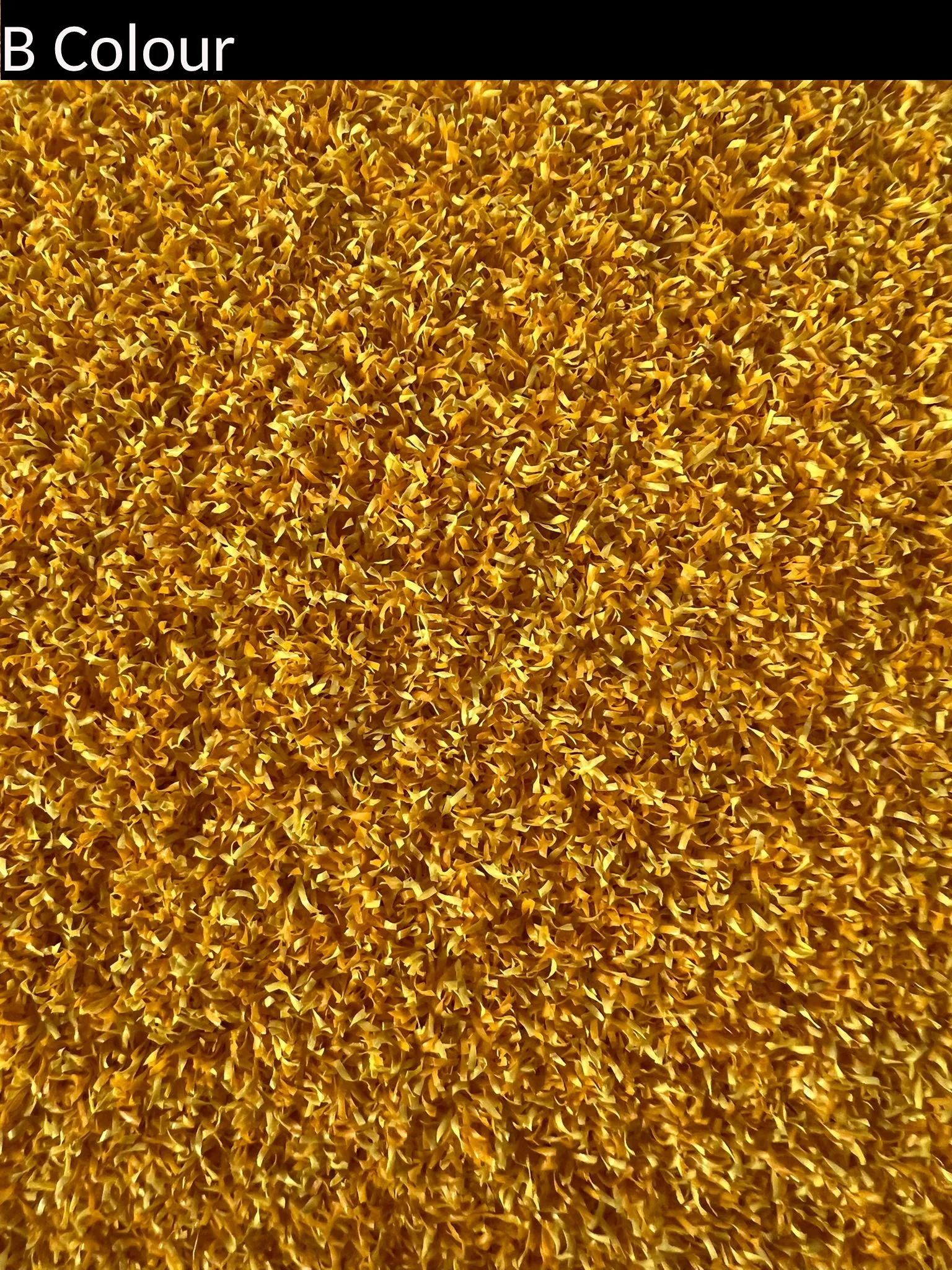 bcolour_goud.jpg