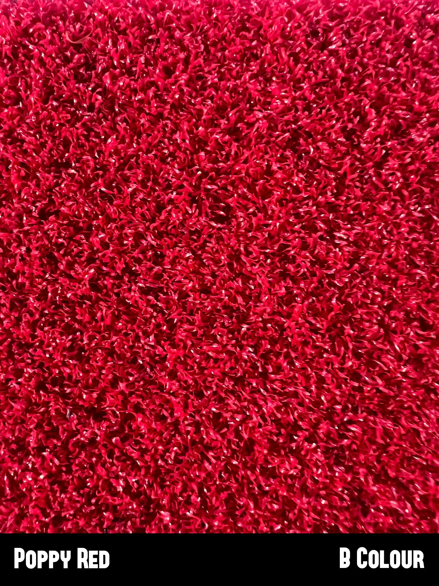 Poppy_red.jpg