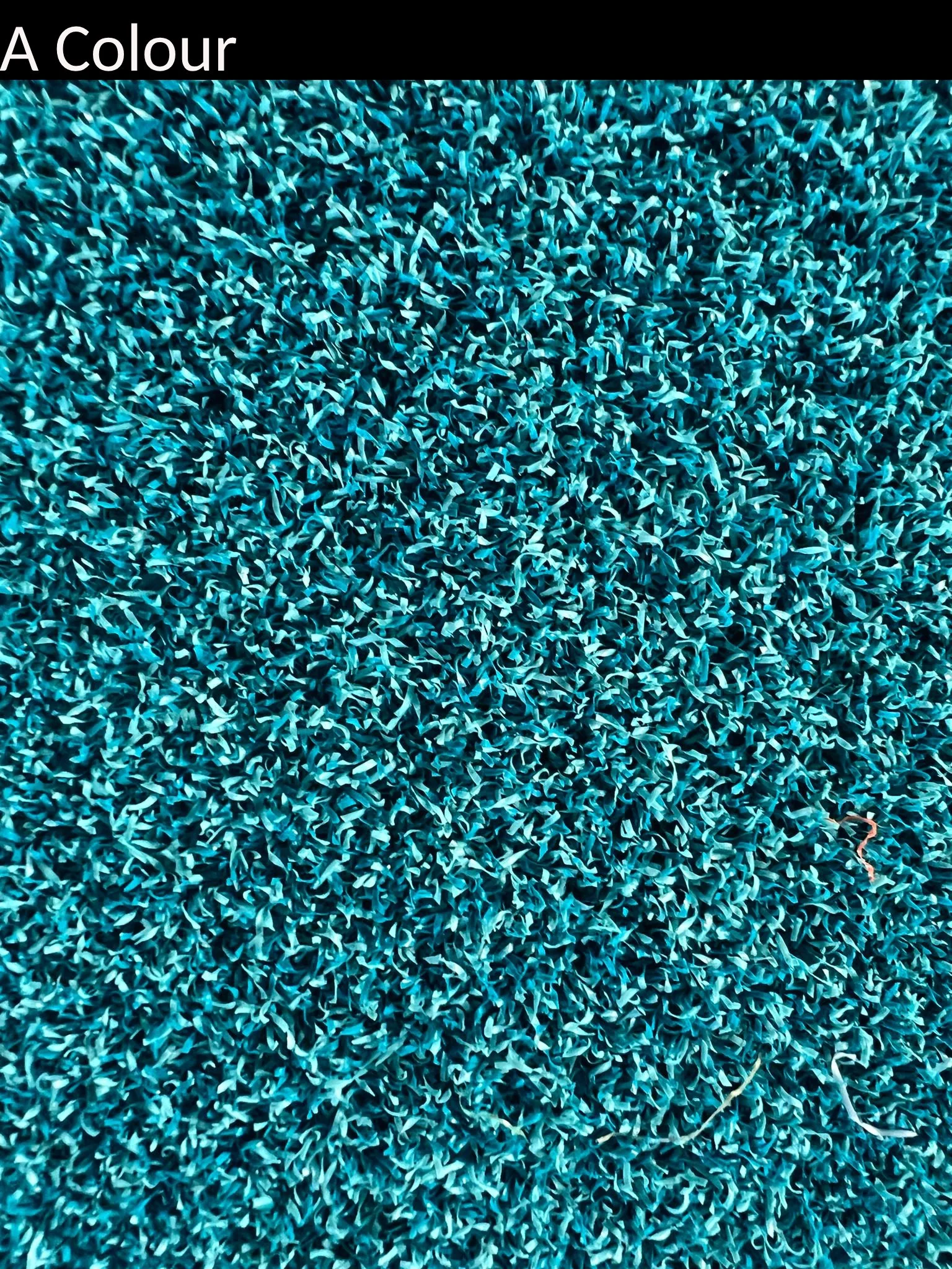 acolour_teal.jpg