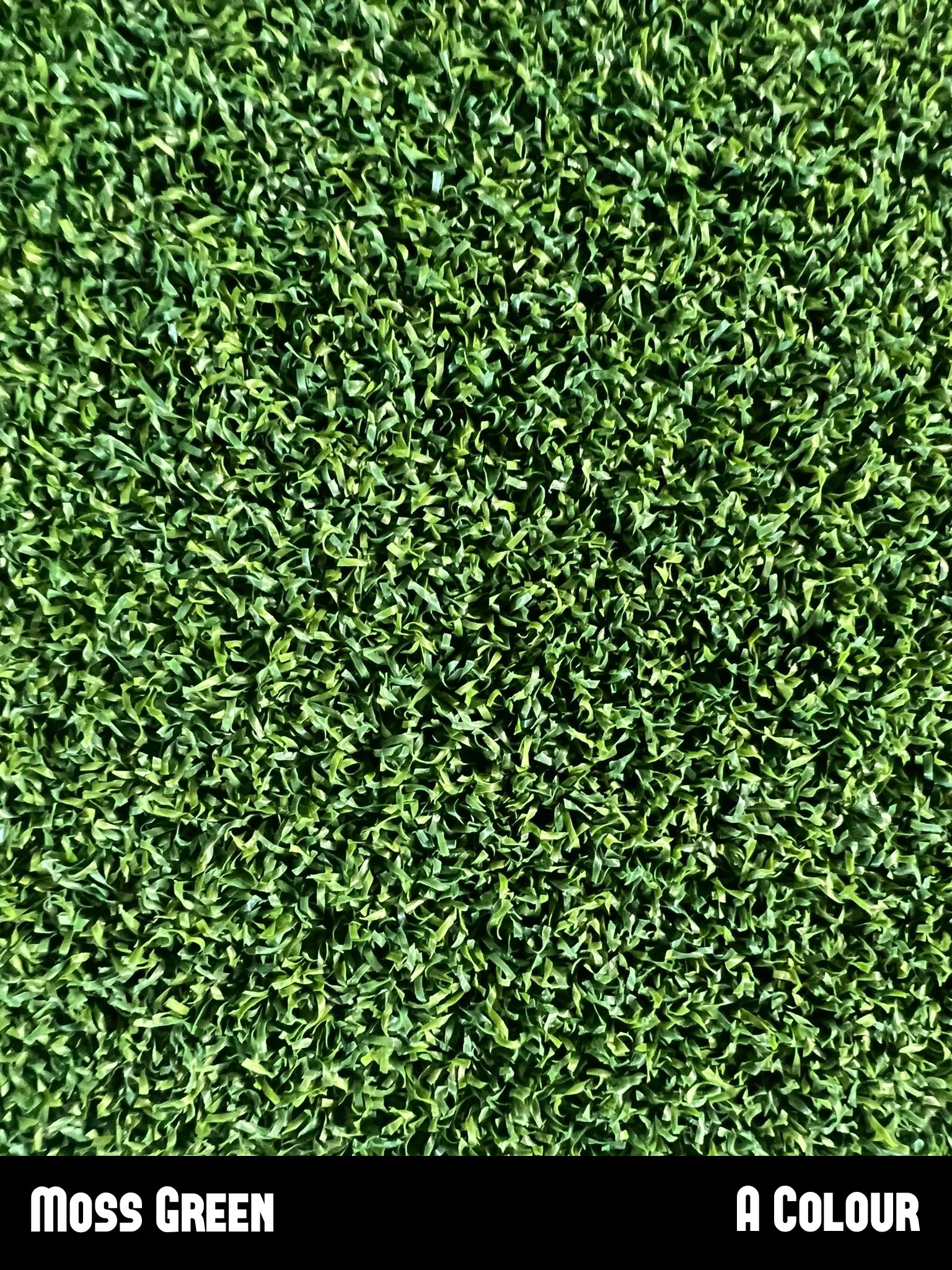 Moss_green.jpg