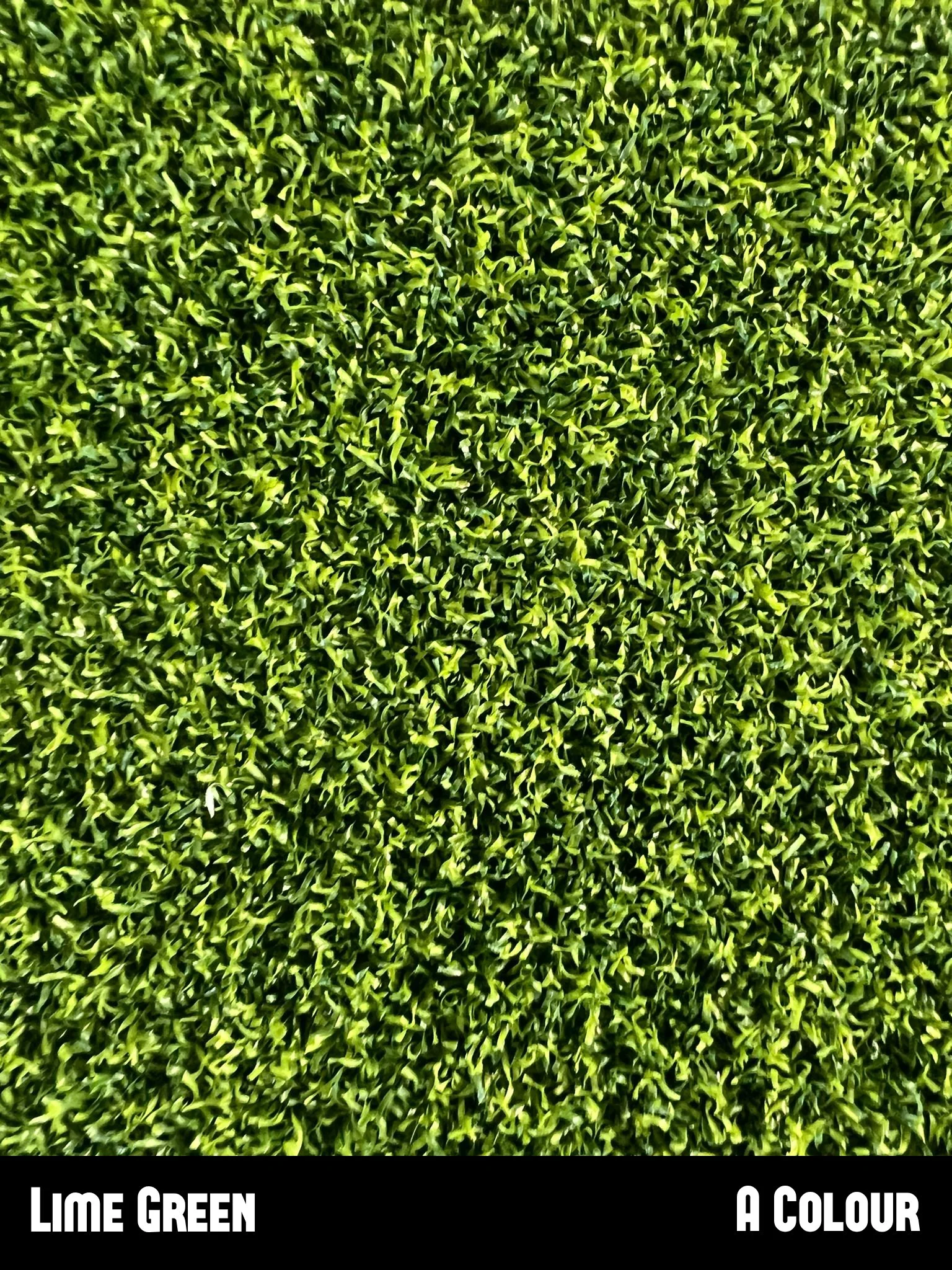 Lime-green.jpg