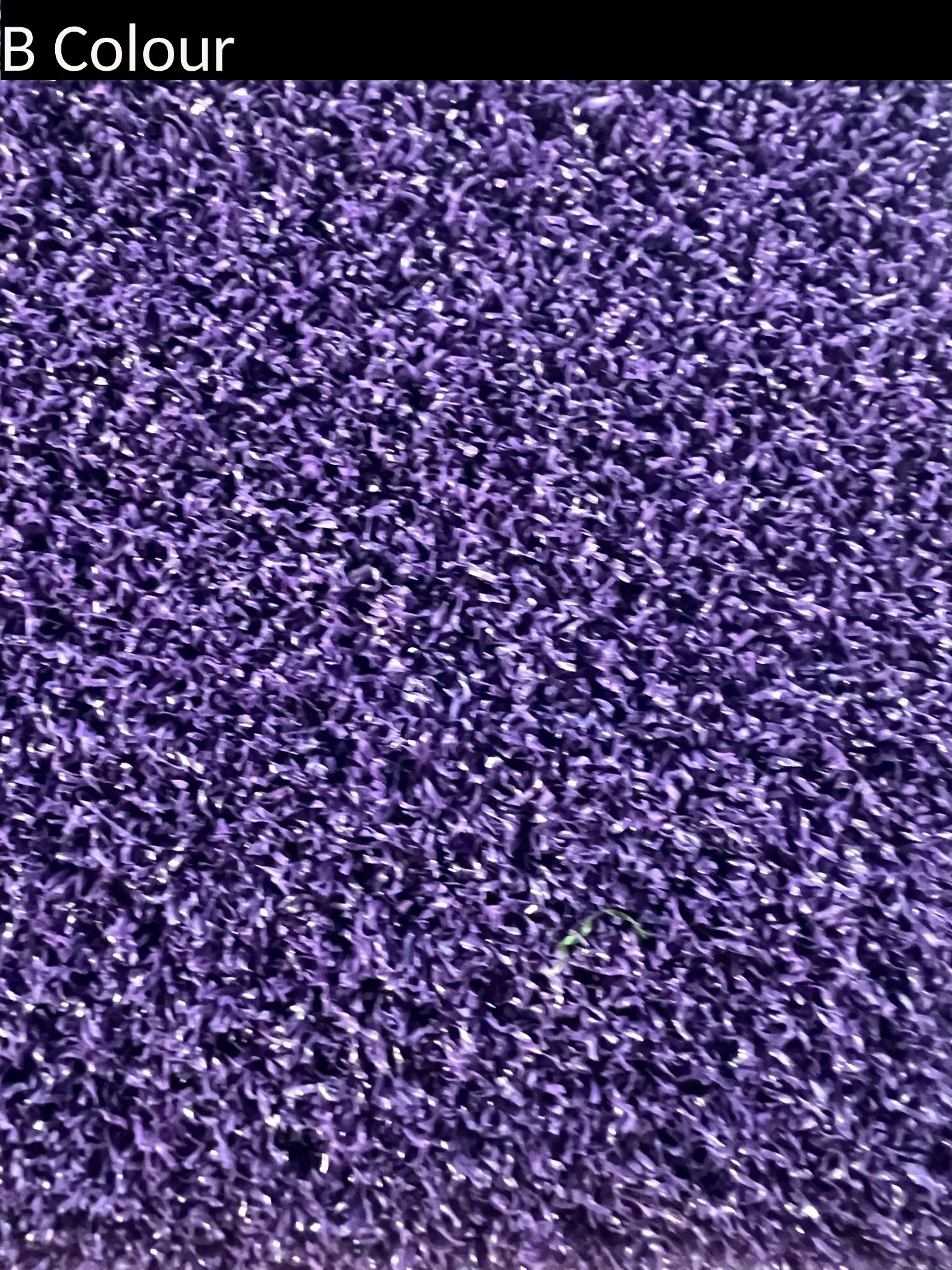 bcolour_paars.jpg