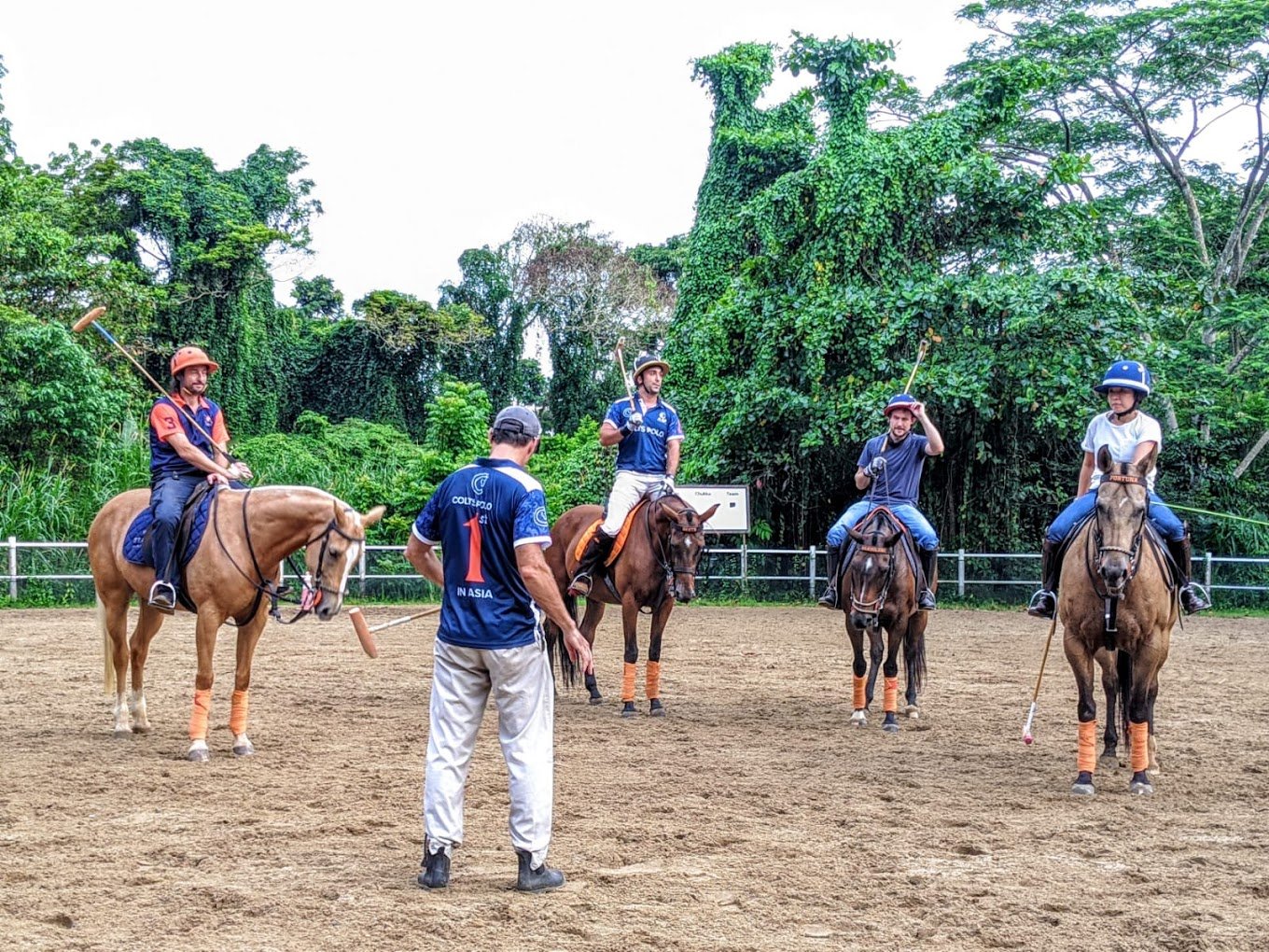 Types of Horse Polo