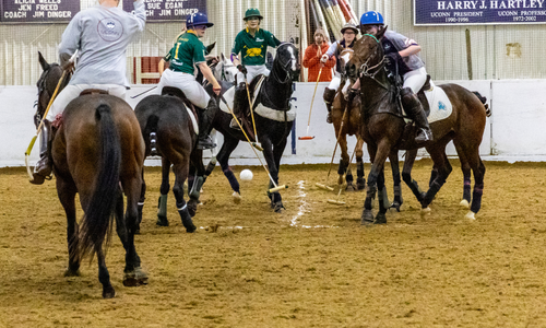 Youth Polo Summer Day Camp (Age Group 9-17)