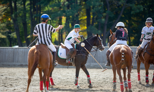 4-Week “Zero-to-Player” Morning Polo Beginner Program