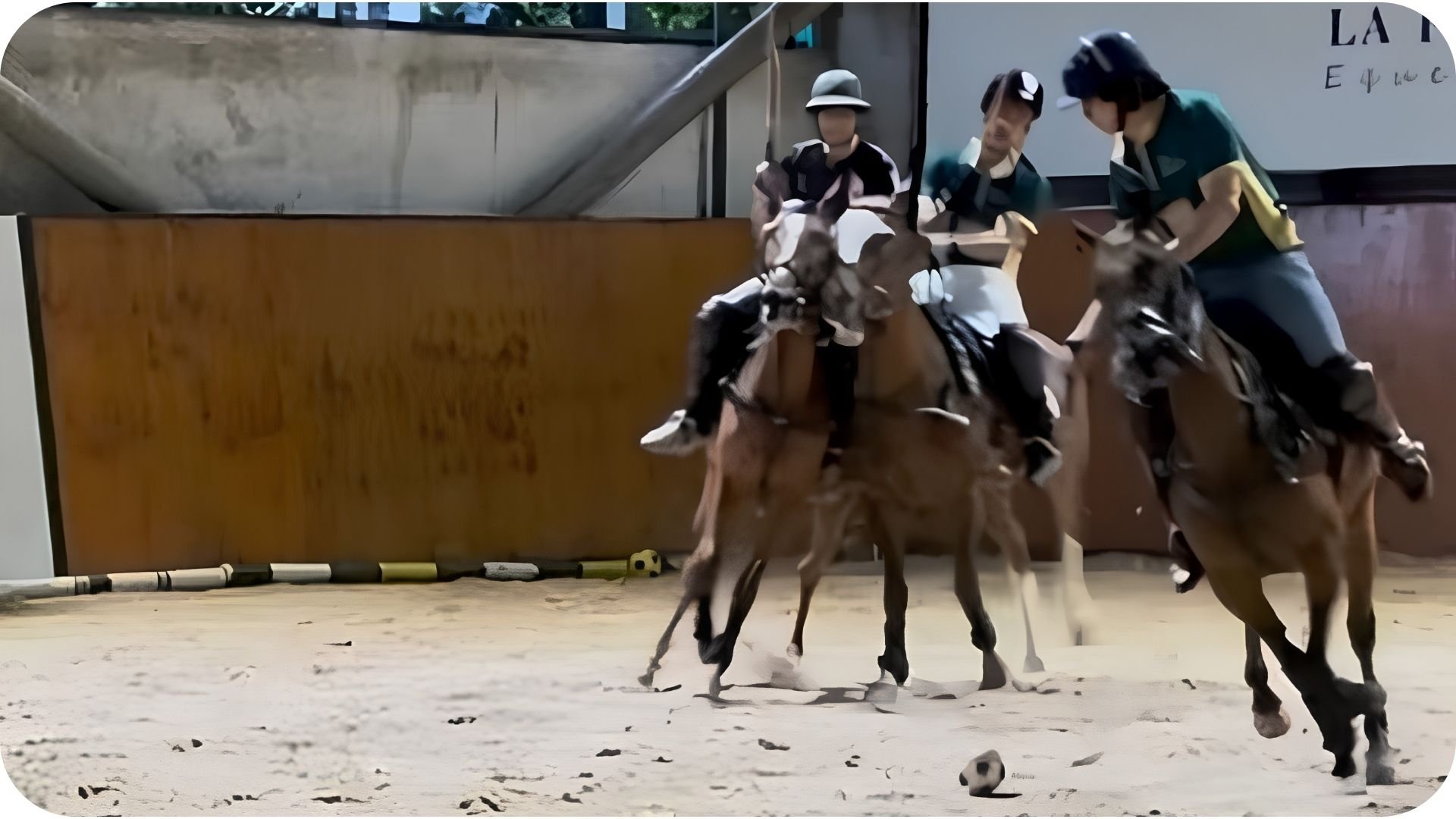 50 Club Chukkers