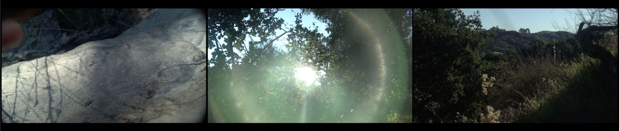 Screenshot 2026-04-11 at 3.50.08 PM.png