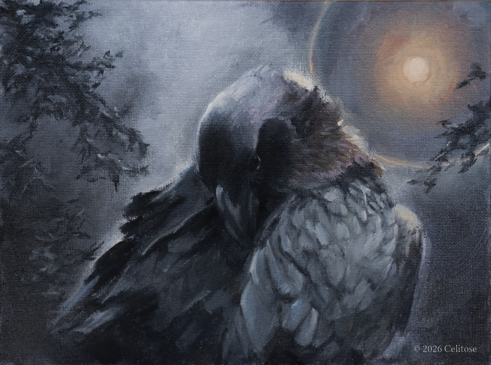 DSC02145.png