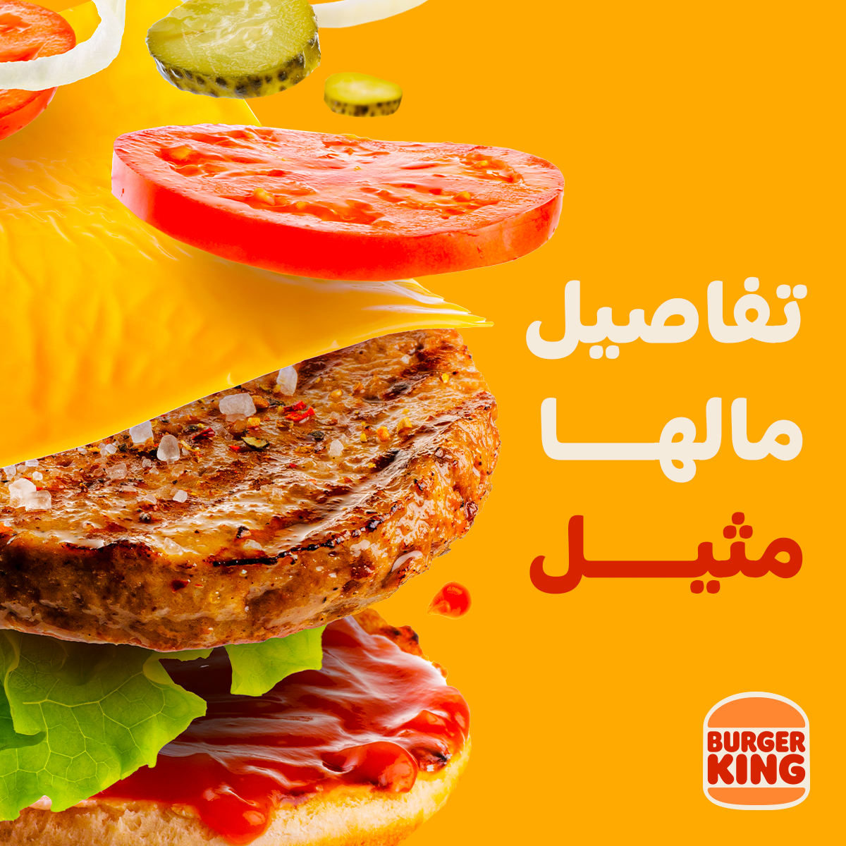 تفاصيل مالها مثيل.png