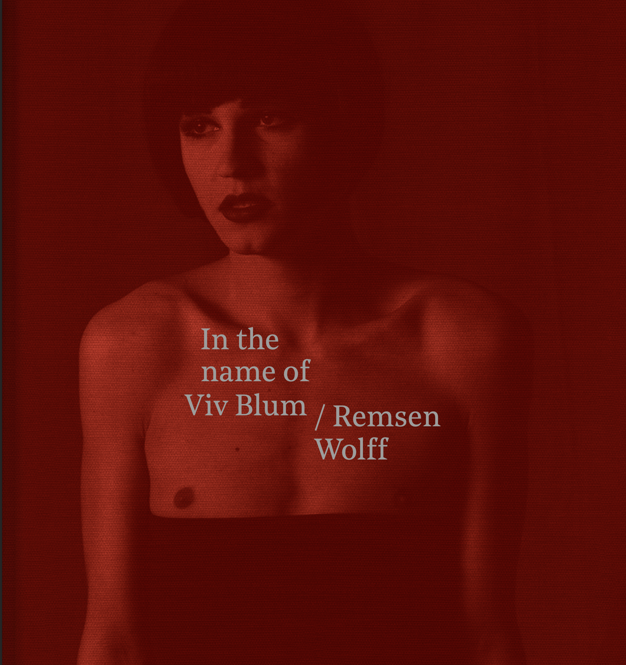 Book: In the Name of Viv Blum