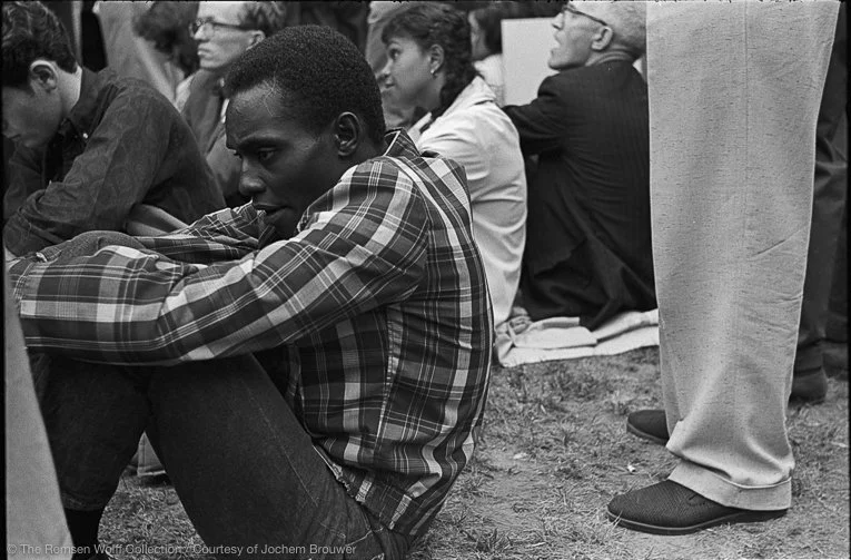 RNW 65 police brut 40 7-2.jpg