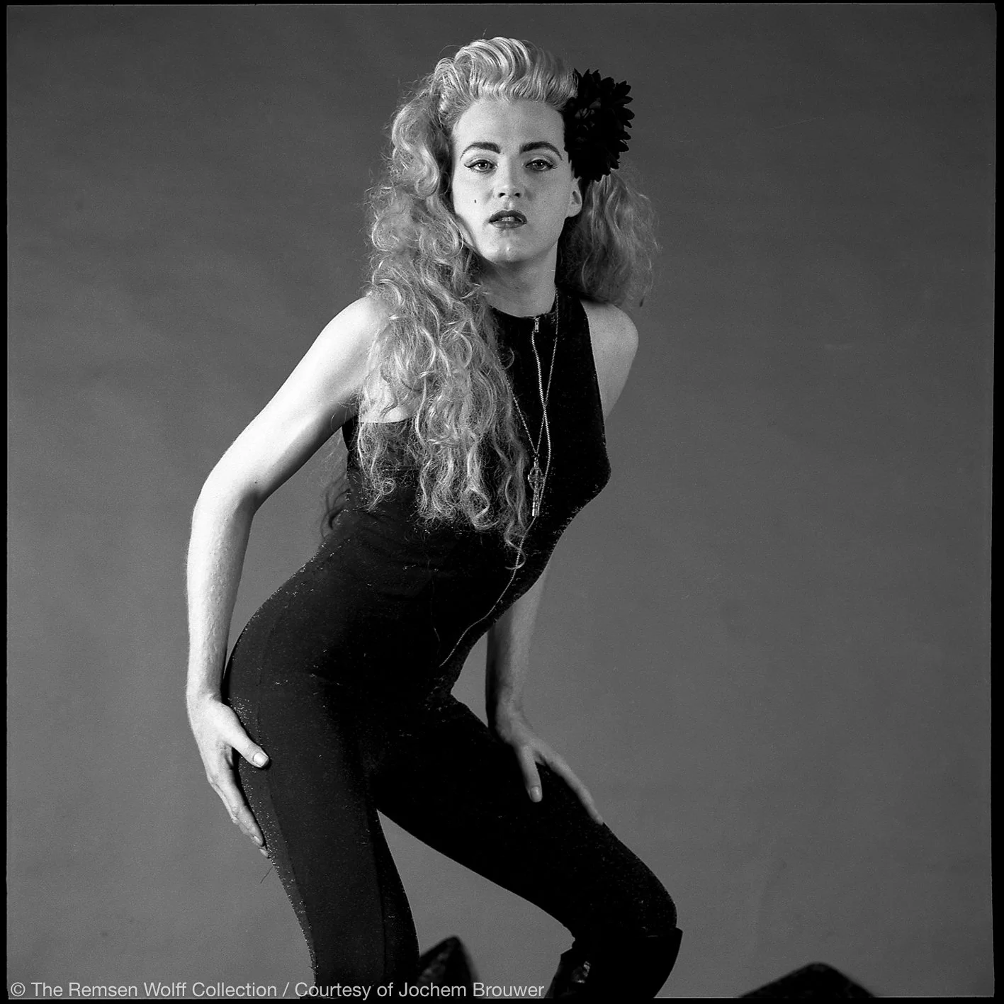 17-1084-20, Viola Voila-2.jpg