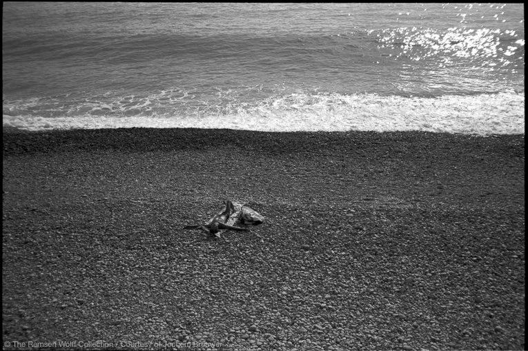 Untitled 41 (3)70 (3)91 (9)28 (2)2-2.jpg