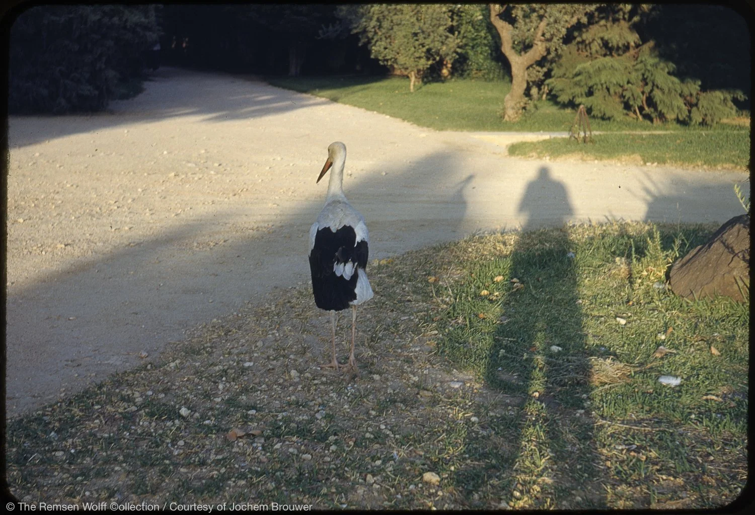 50's BW Col 13 4 20.jpg