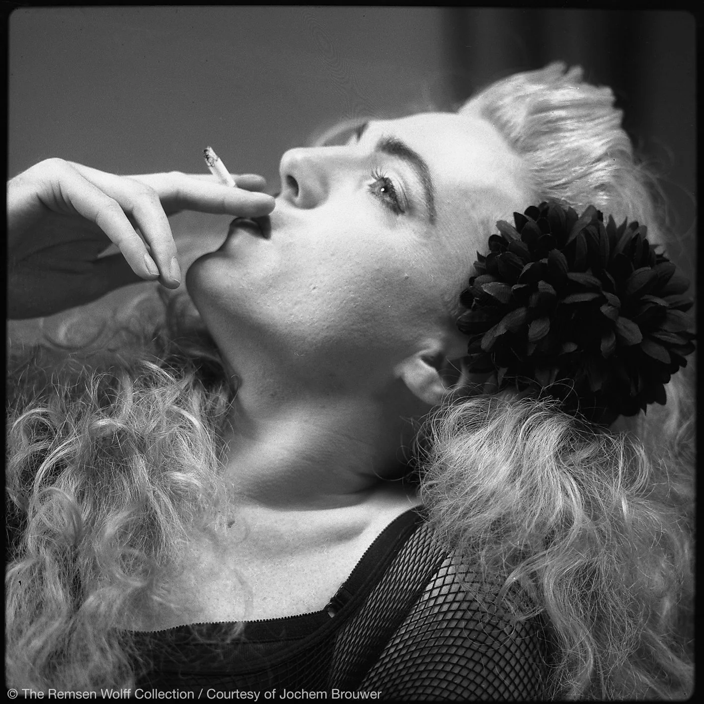 17-1058-4, Viola Voila-2.jpg