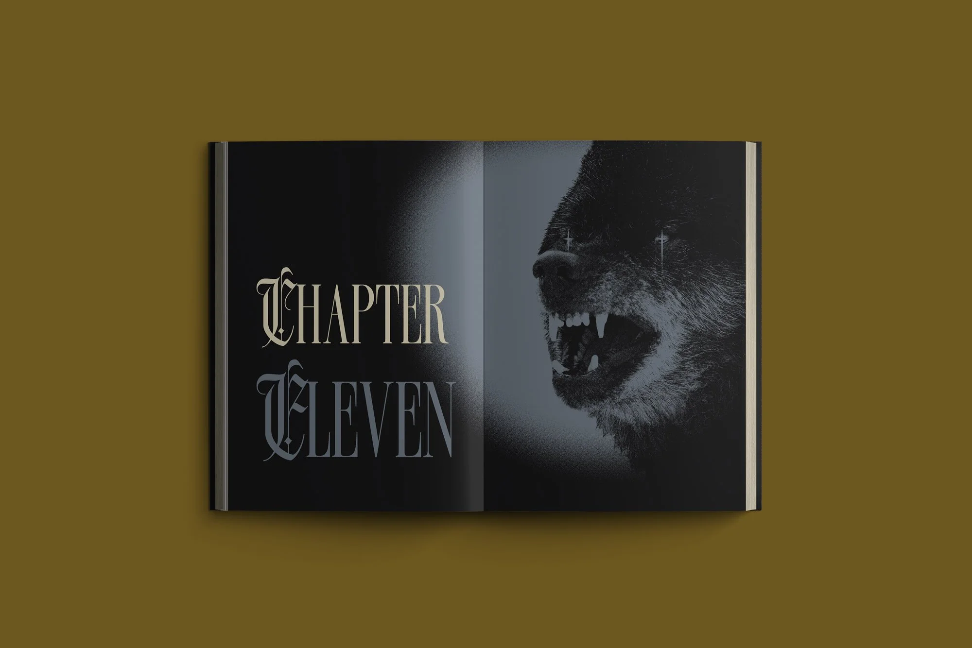 CHAP11.jpg
