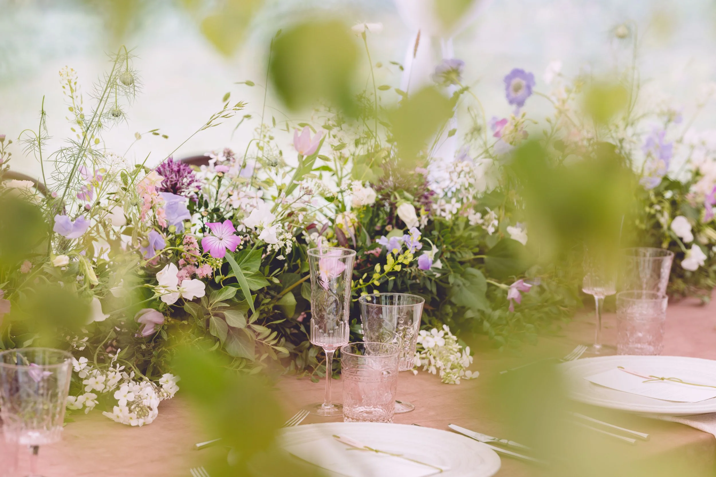 Best flower arrangement shot through other flowers to create front bokeh