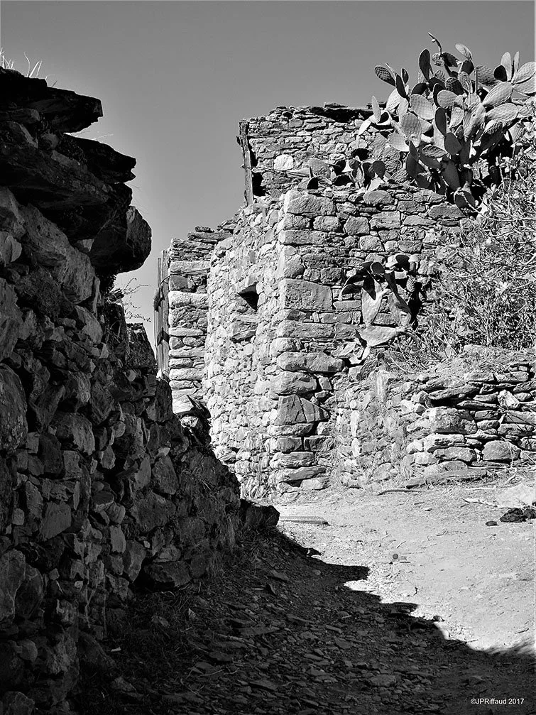 Vue d'une ruelle étroite bordée de murs en pierre avec des plantes cactus en haut à droite