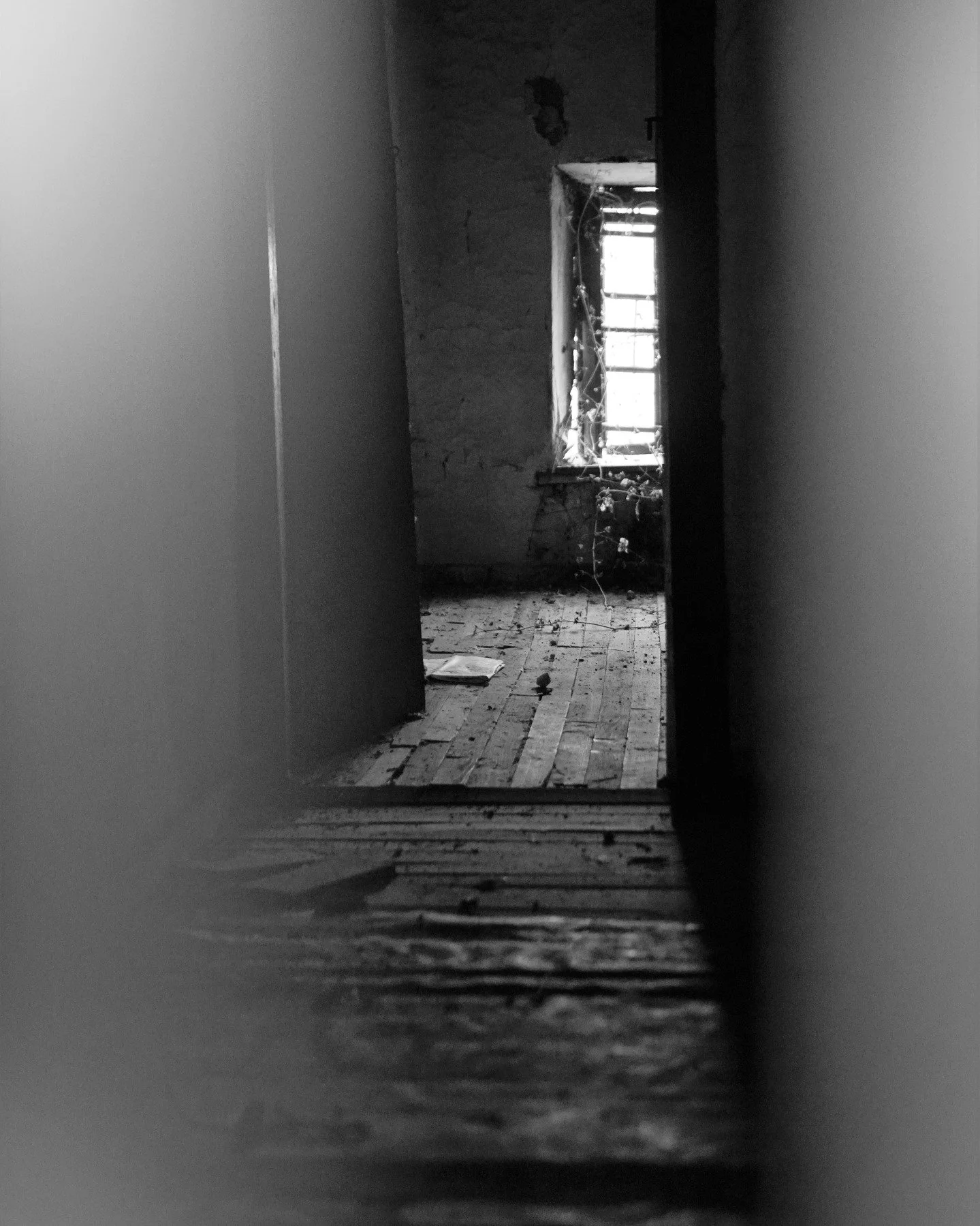 #urbex #interieurabandonn&eacute; #urbexinterior #interieurvide #maisonabandonn&eacute;e #videphotography #pass&eacute; #interieur #interiorhouse #emptyinterior #emptyhouse #artphotographygallery