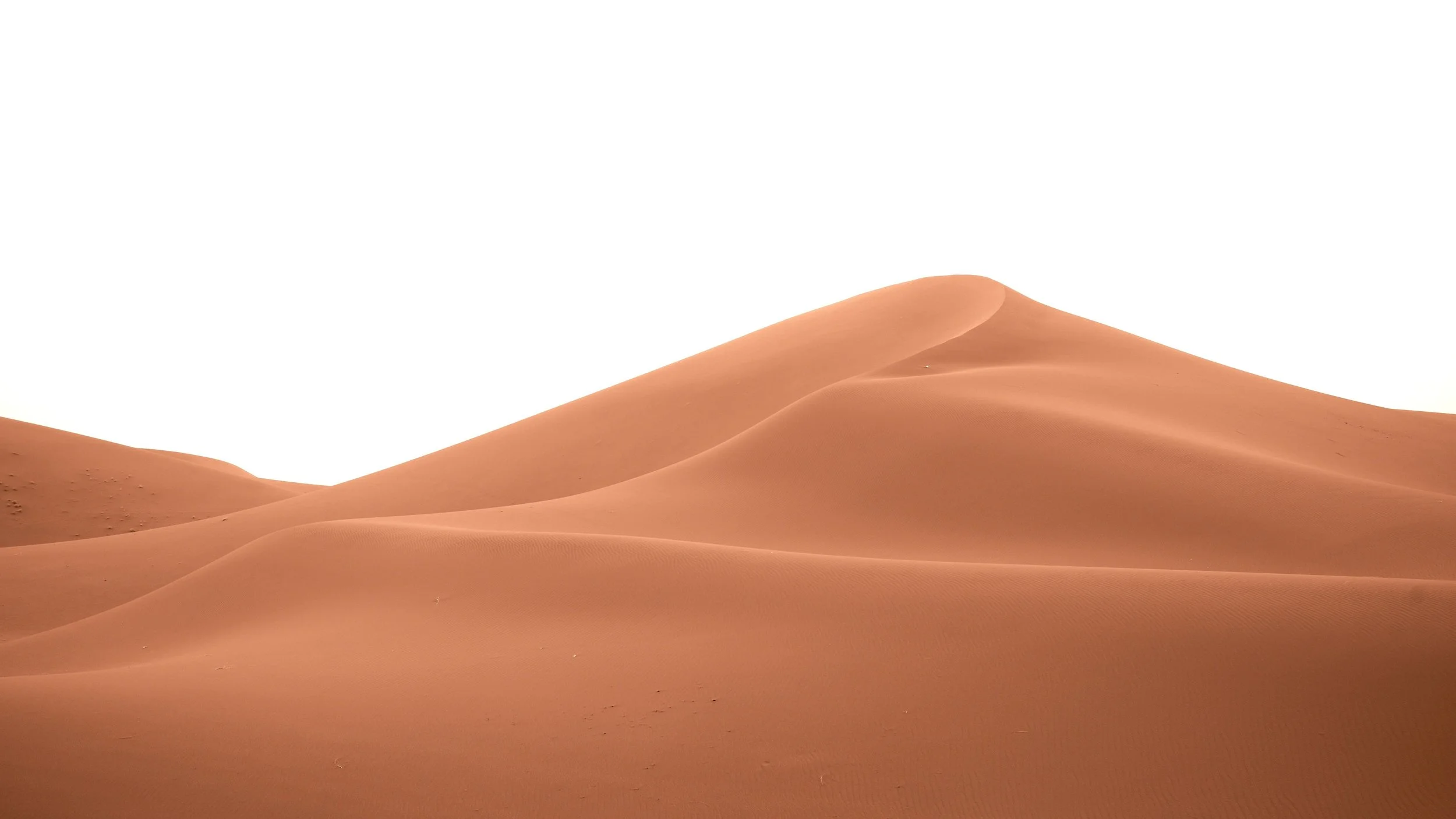 #dunes #sahara #desert #courbes #minimalismphotography #photographieabstraite #abstractionphotography #douceurphotographique #galeriedephotographies #galeriedart #galeriedartphoto