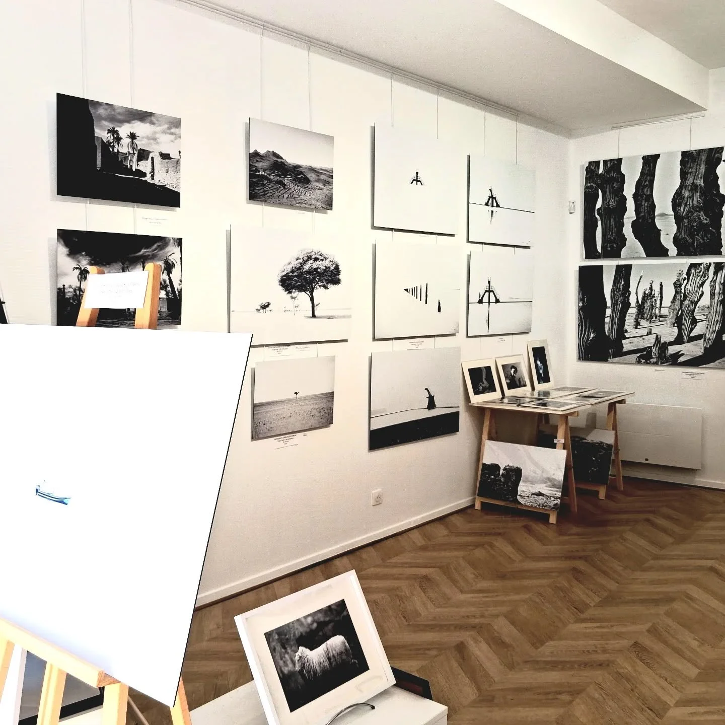 JPR Gallery 62 rue Bouffard. Bordeaux
#galerieart #bordeaux #galeriebordeaux #photoartgallery #artgallerybordeaux